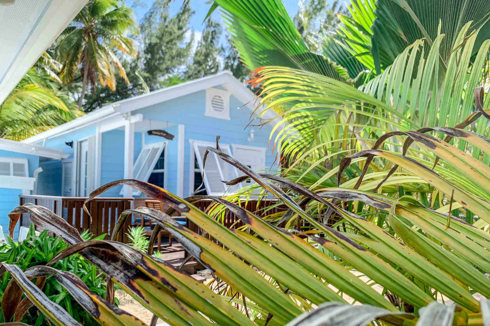 Hidden Gem Cottage on the Beach