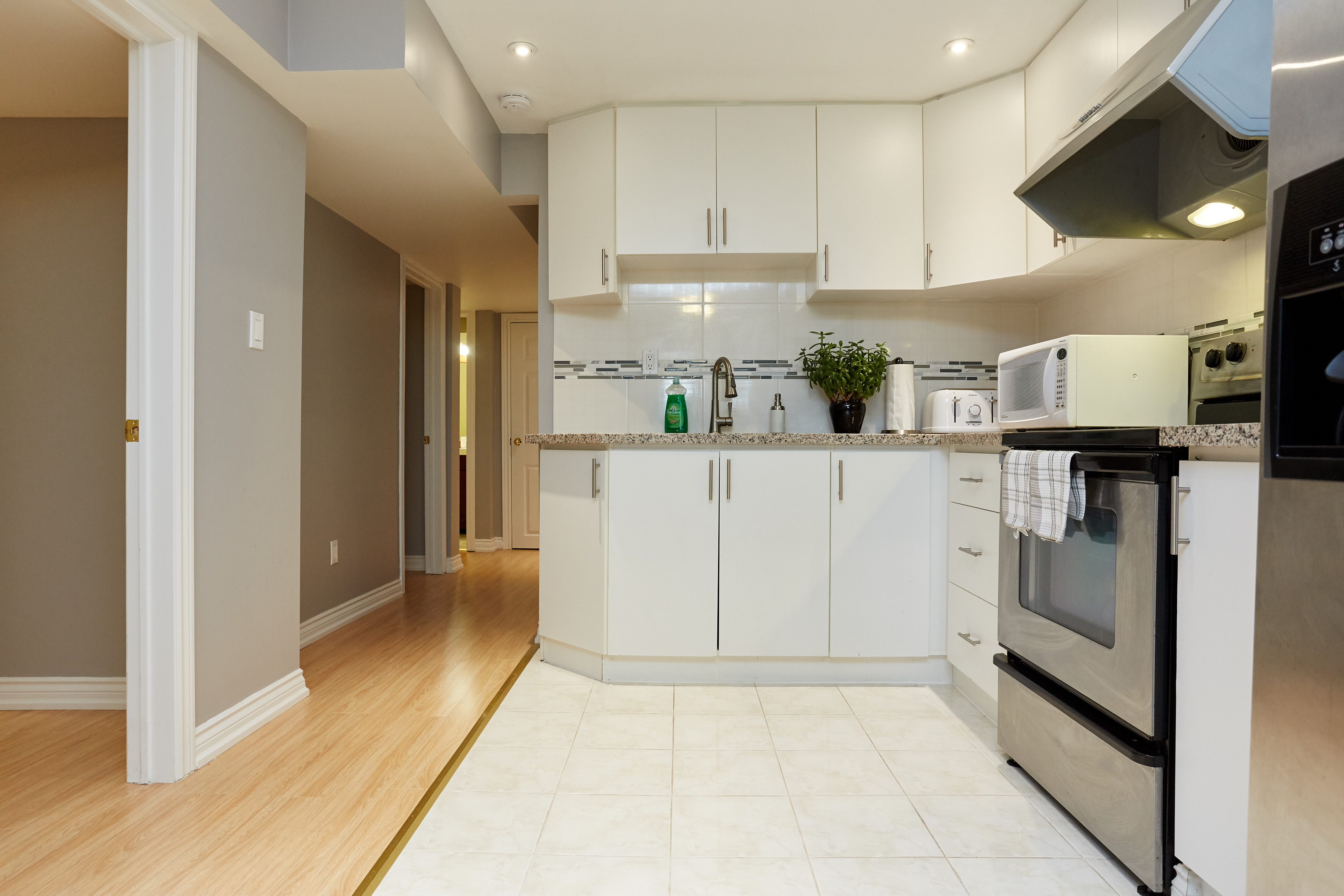 Absolutely Beautiful Walkout Basement Apartment Apartments for Rent in Richmond hill , Ontario