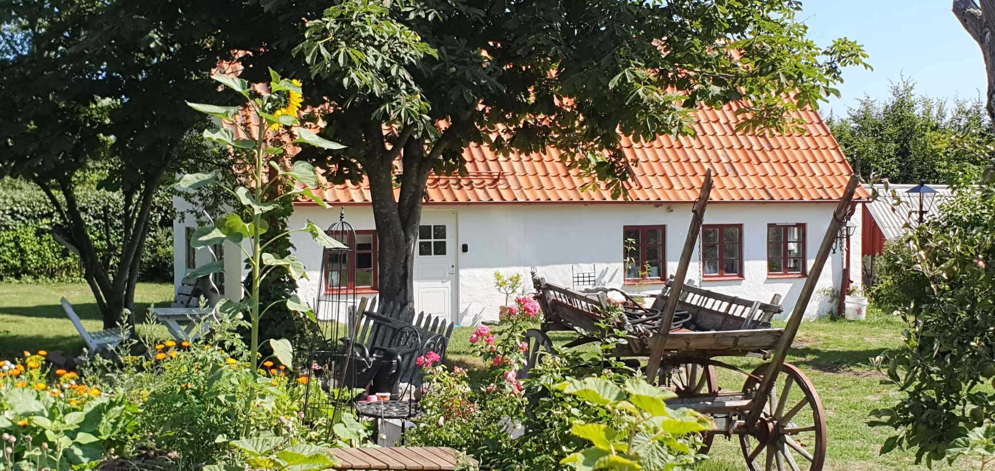 Mediterranean feel at Österlen Studio Havsblick!