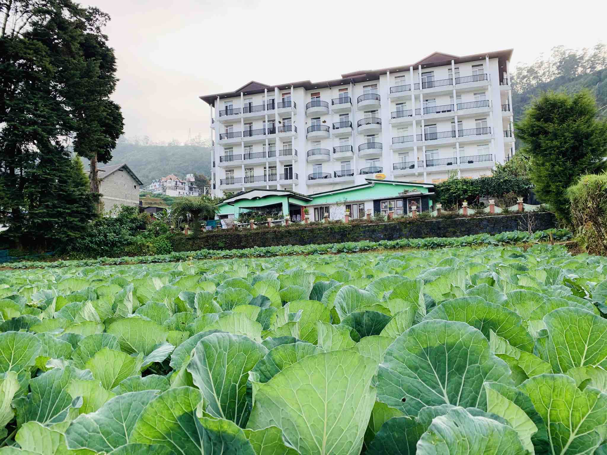 City Apartment 1bedroom( city centre) NuwaraEliya