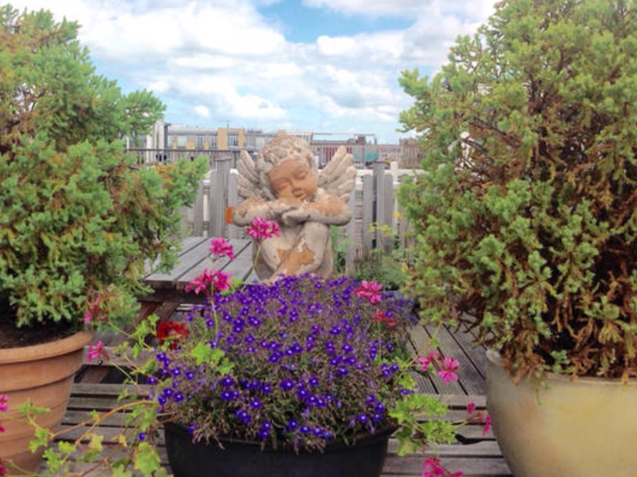 Top Floor Center Apartment Roof Terrace — Amsterdam stay