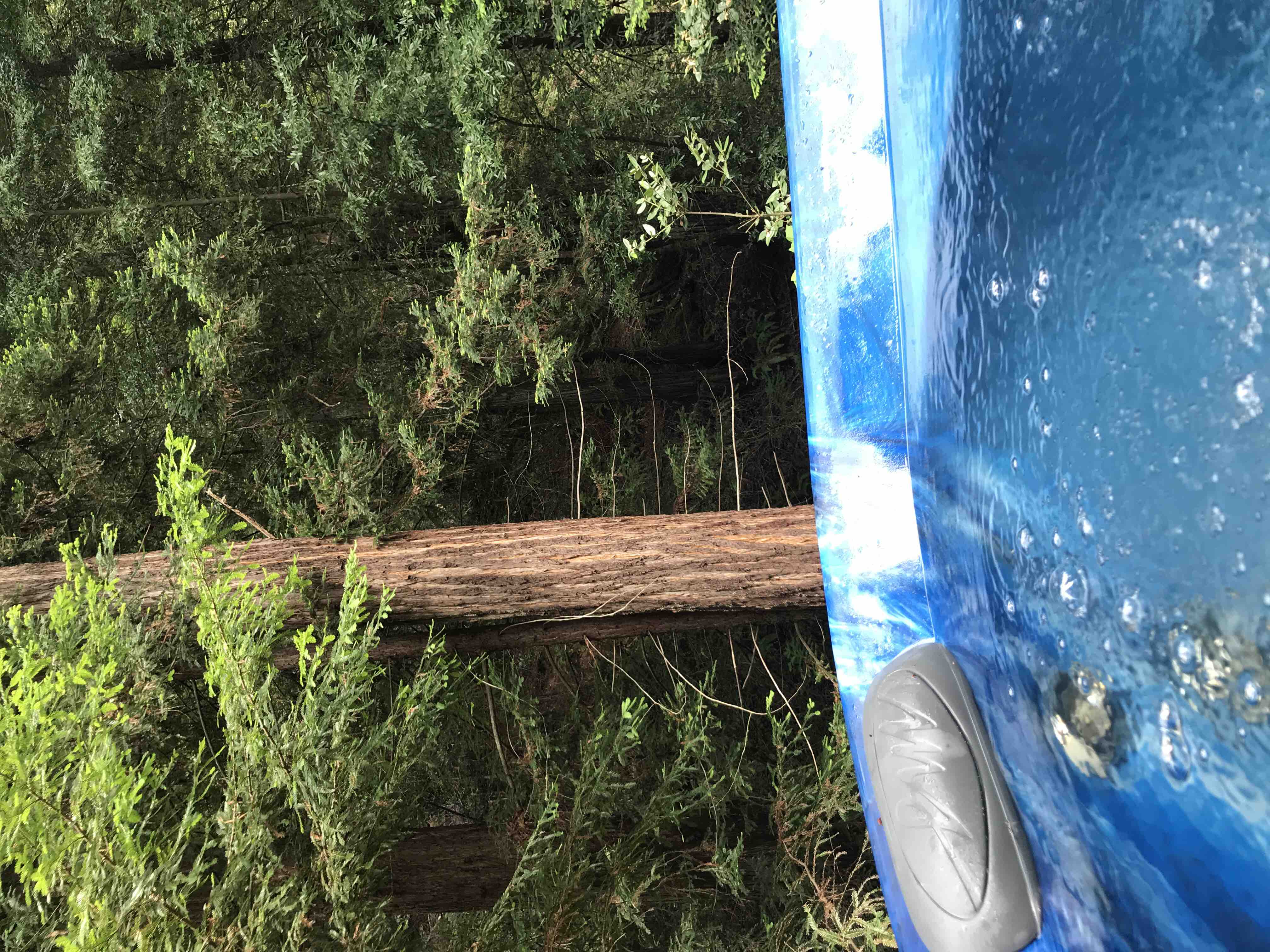 Redwood Retreat w/Private Entrance Houses for Rent in Occidental