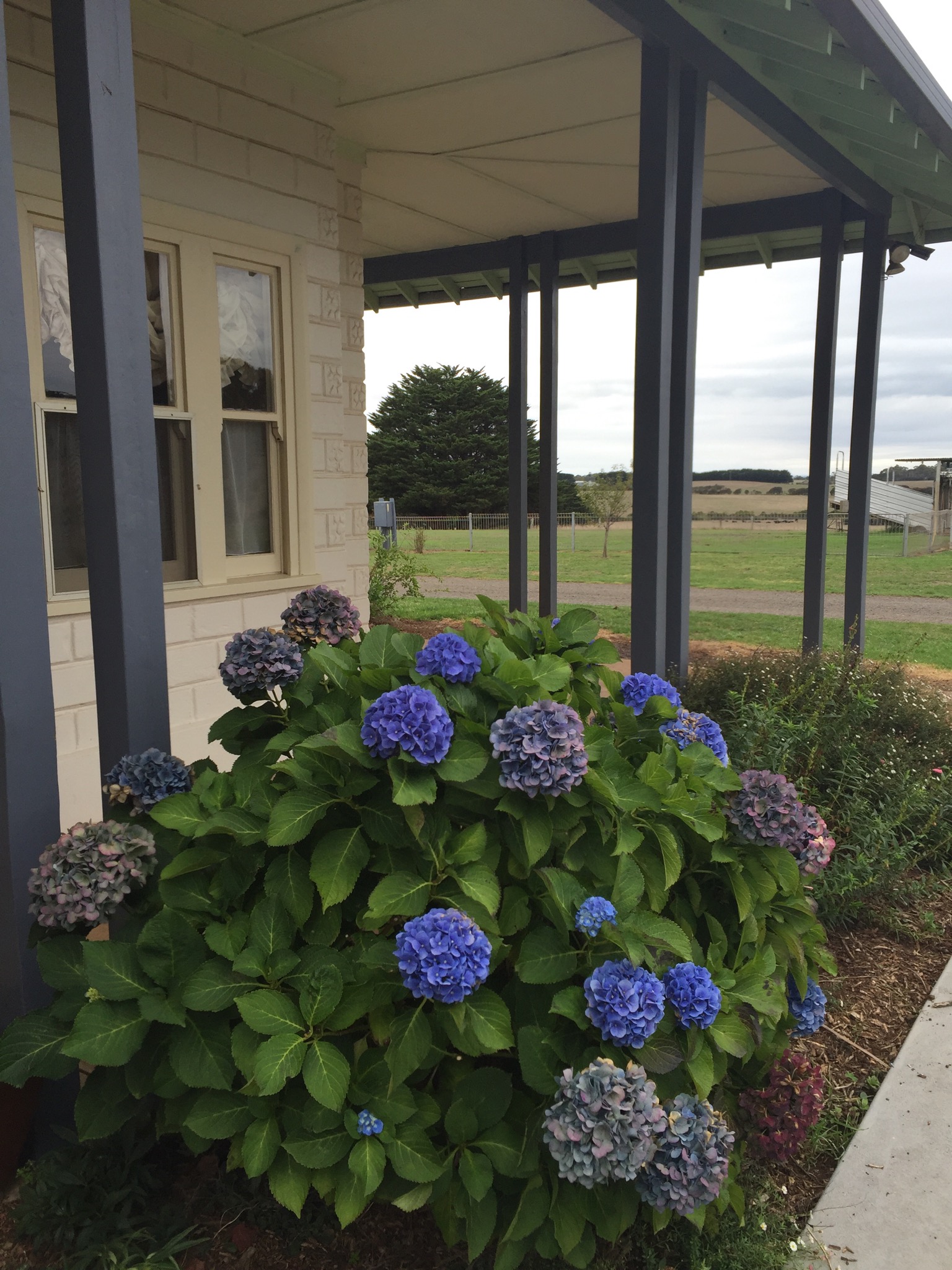 Garden Cottage in country setting.