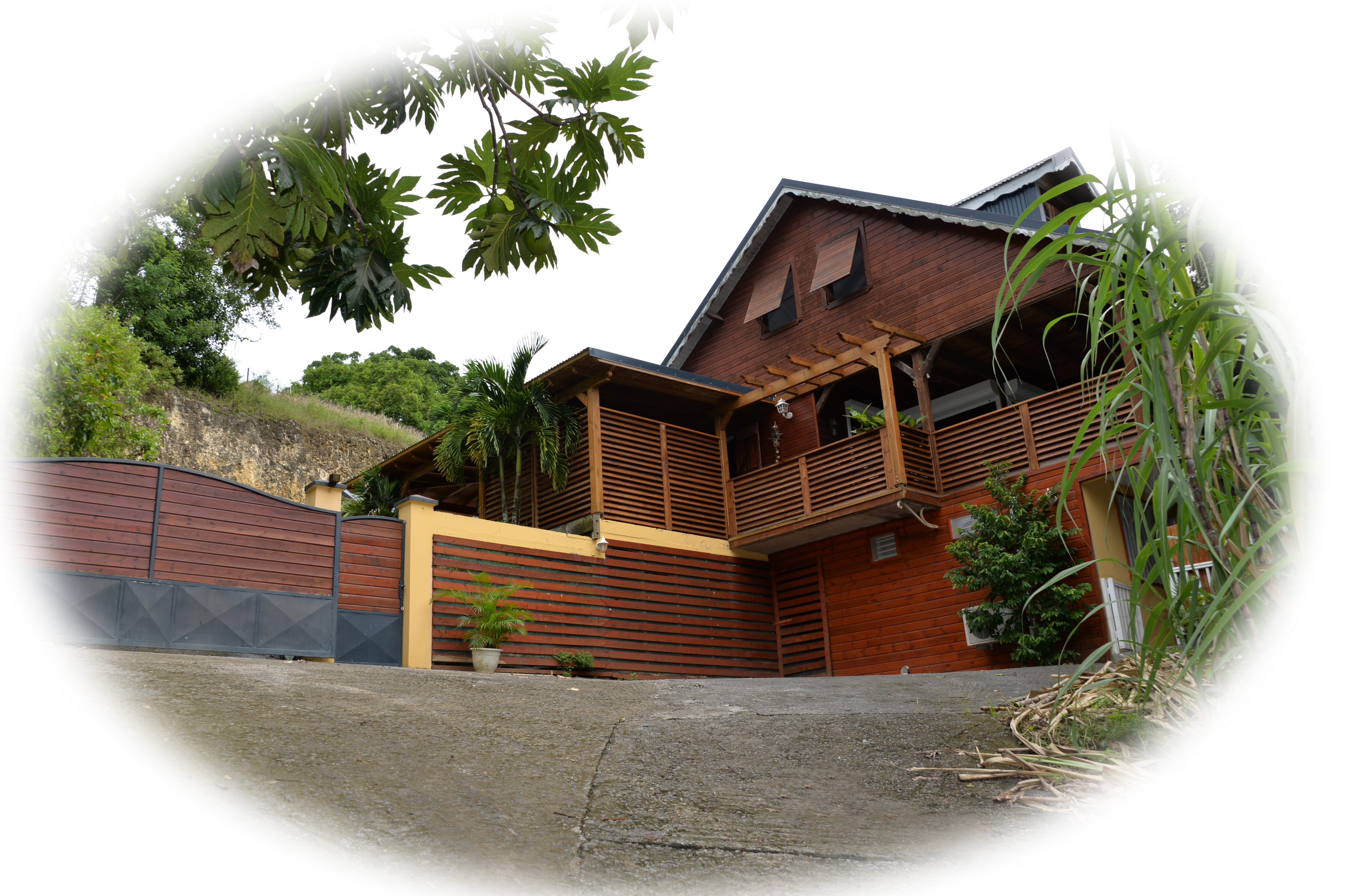 the very comfortable kaza charly studio