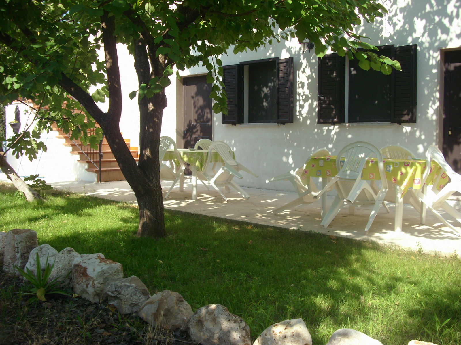 Farm apartments among olive and citrus trees.
