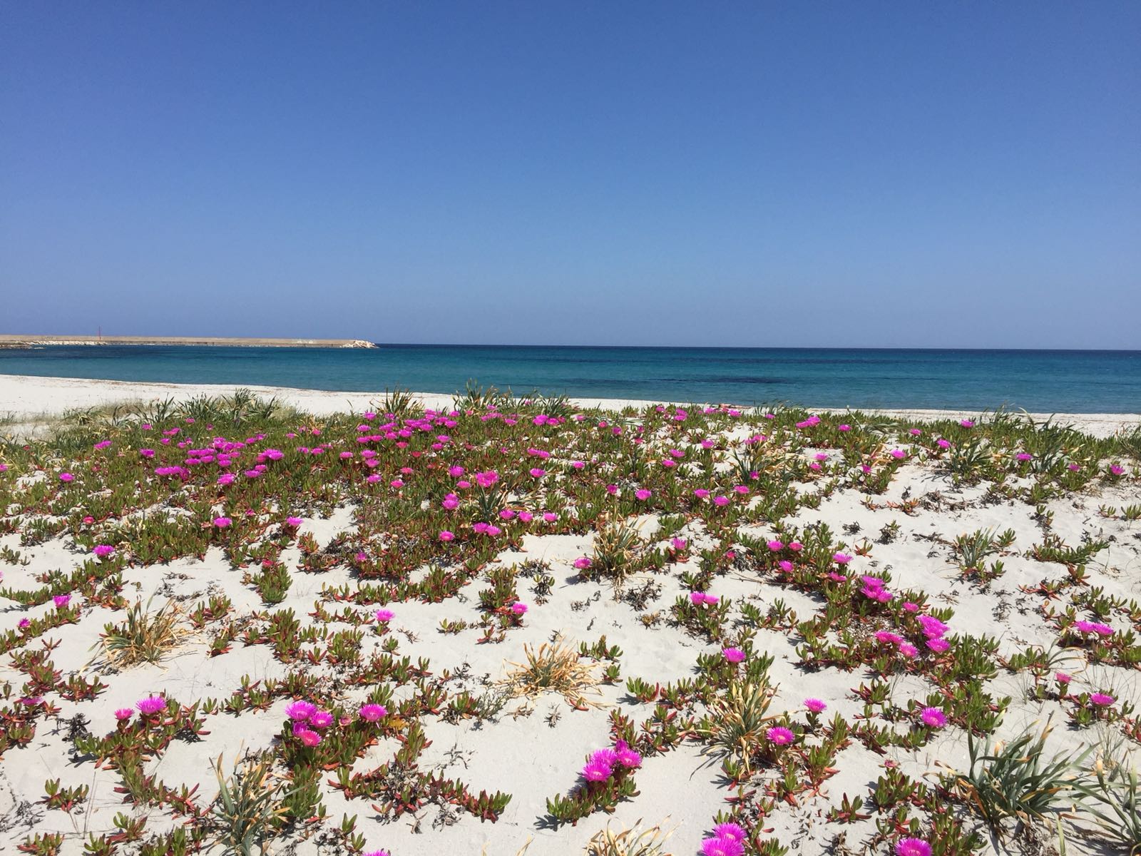 La Duna. Relax in front of the sea