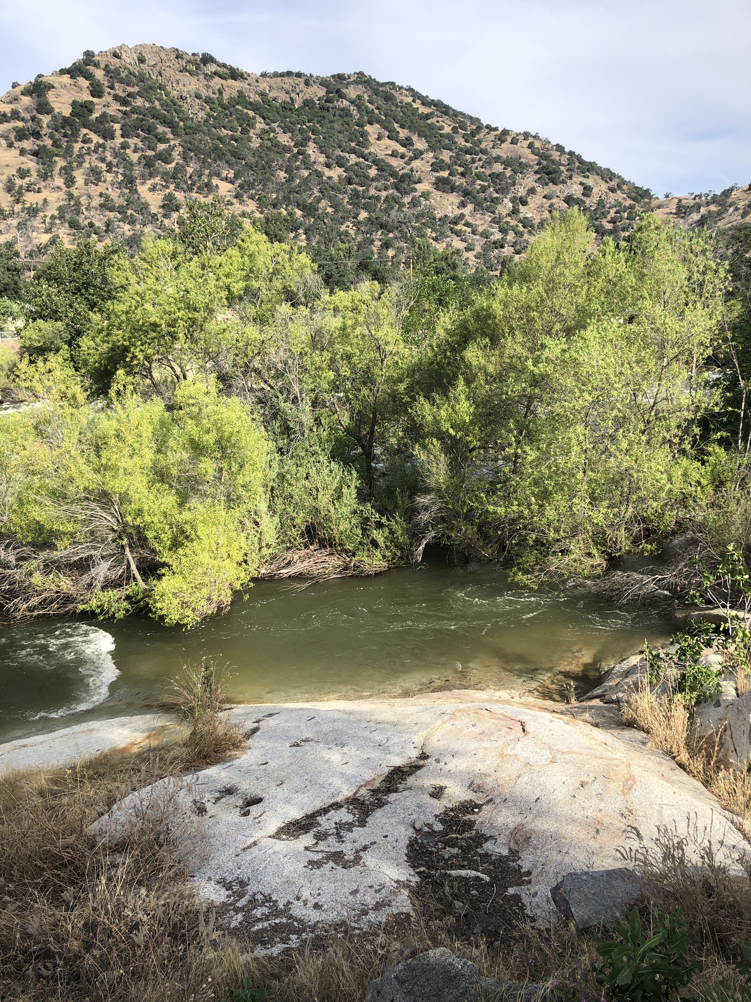 RIVERFRONT! Dramatic views 11 min. to Park Ent. Bungalows for Rent