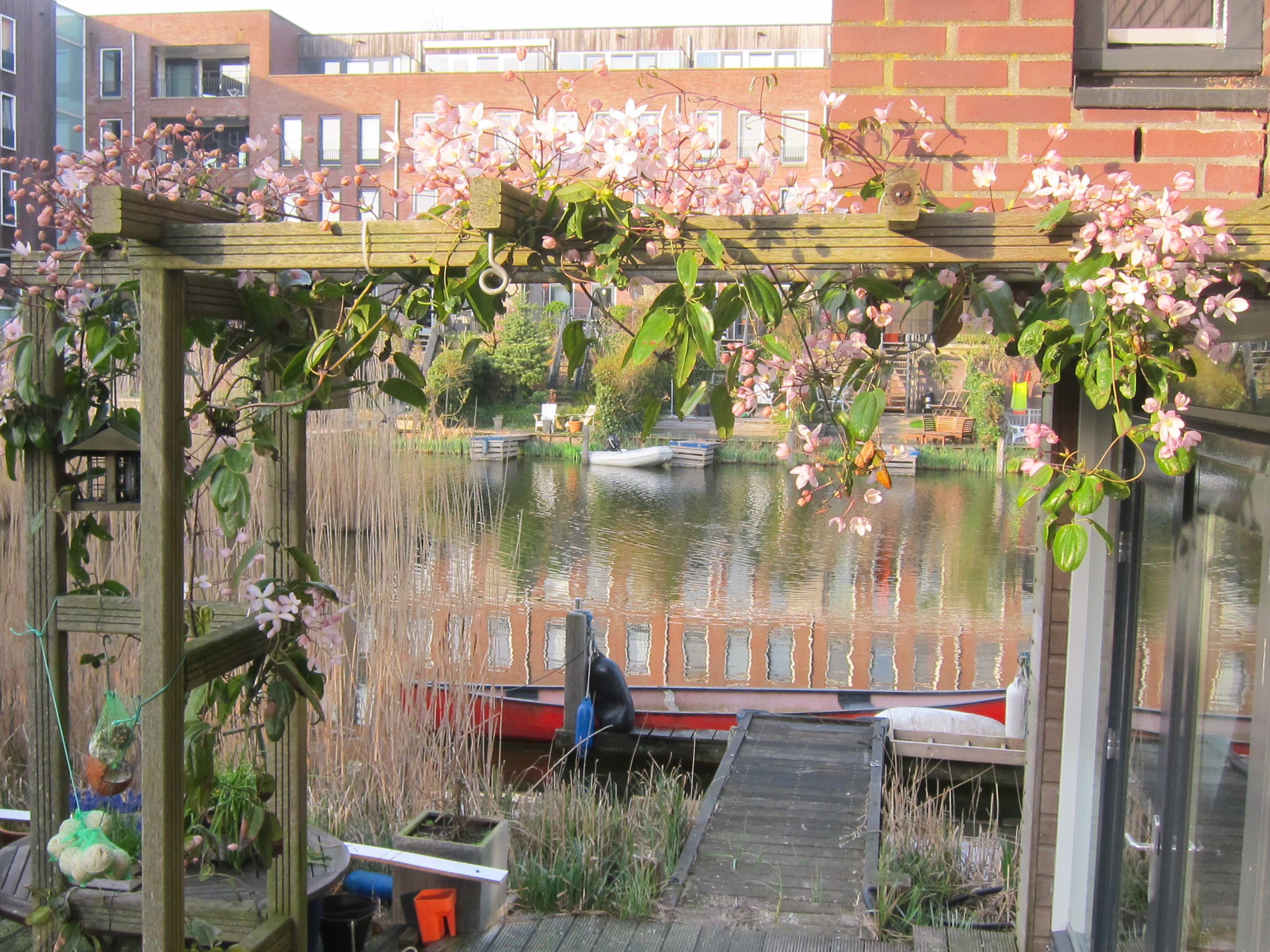Spacious studio with terrace on waterside — Amsterdam stay