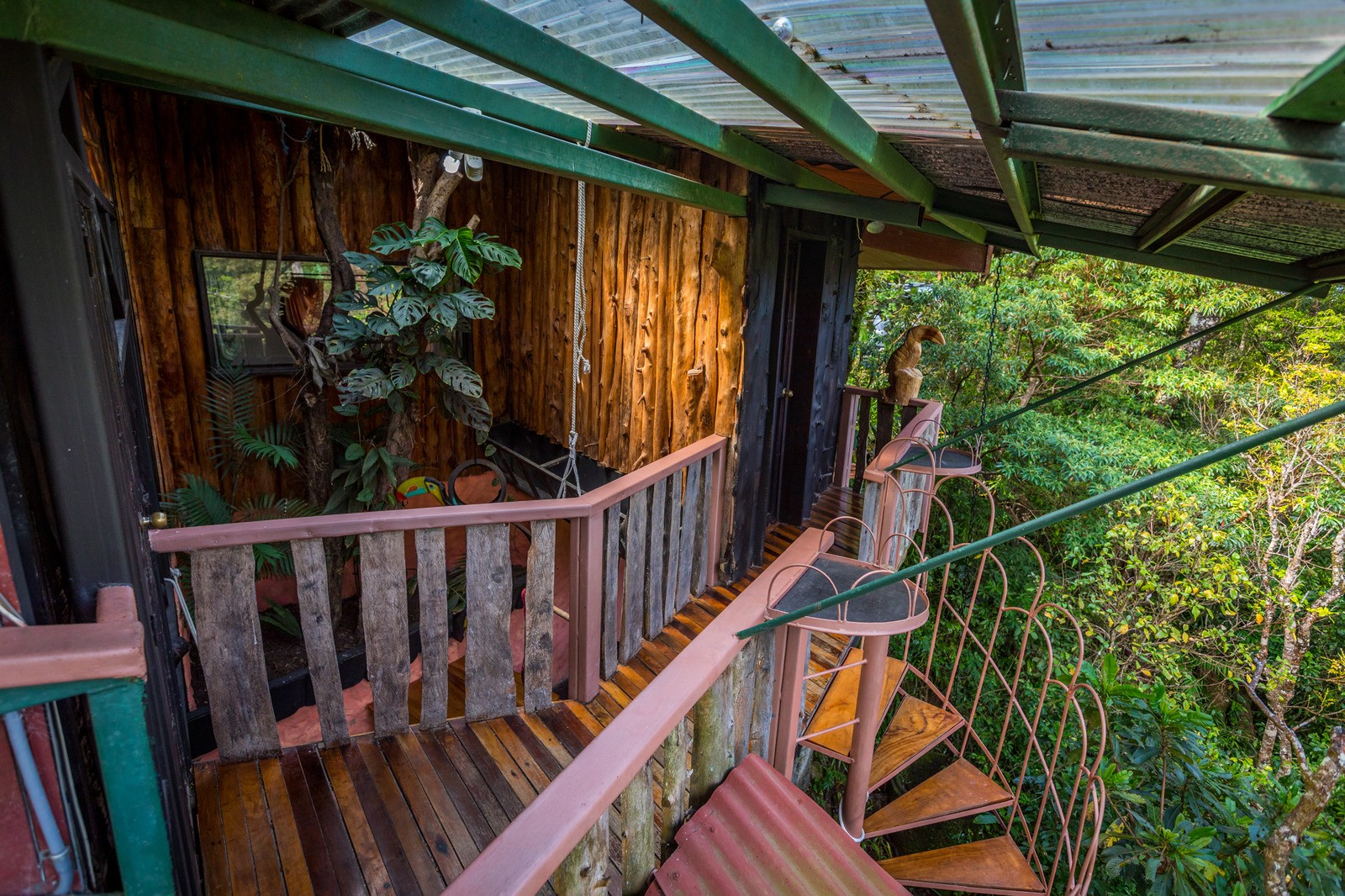 Treetop House Charming Artistic Monteverde Houses For Rent In treetop-house-charming-artistic-monteverde-houses-for-rent-in