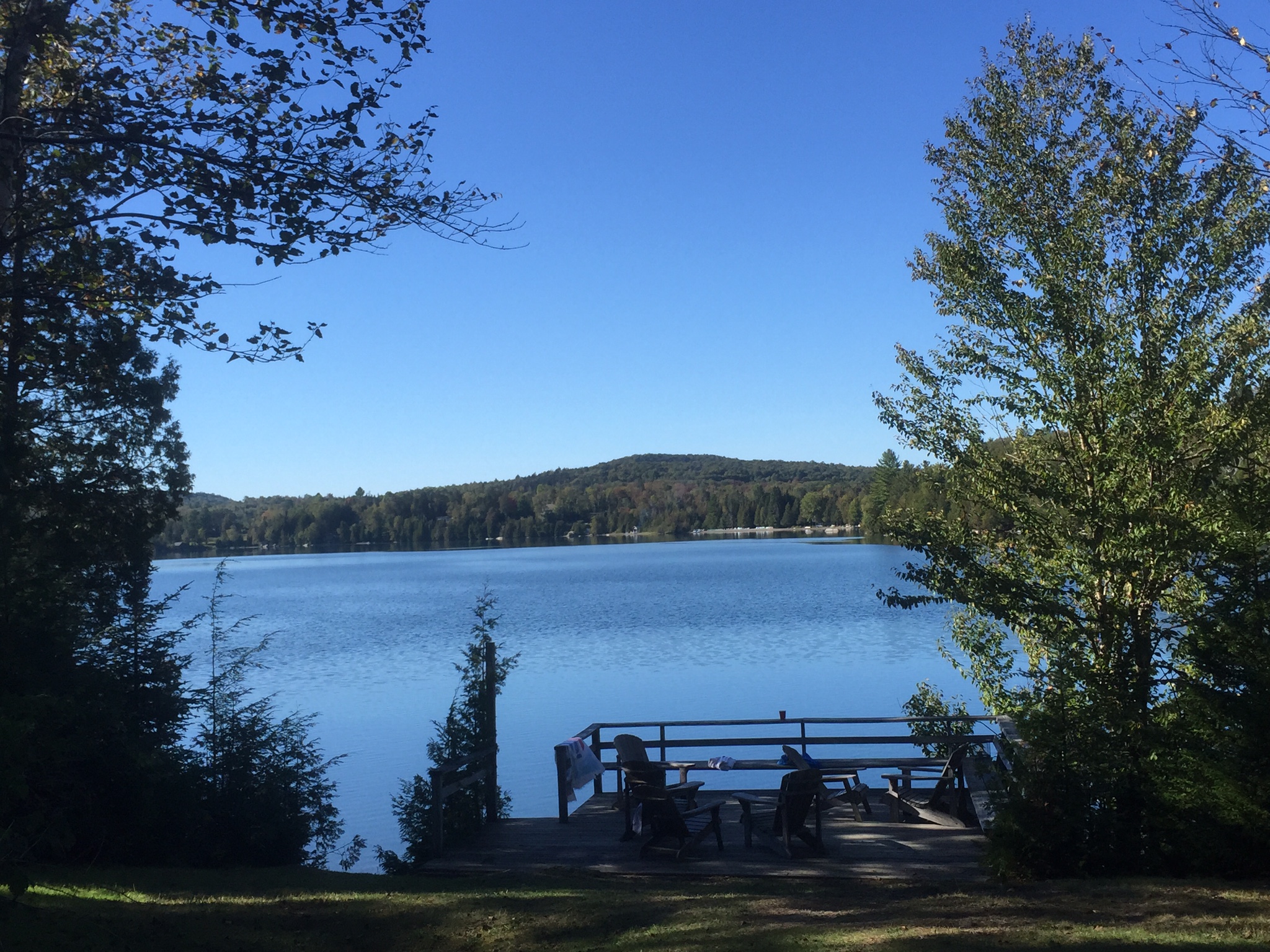 Caspian LakefrontSunset Views and XC Skiing Houses for Rent in