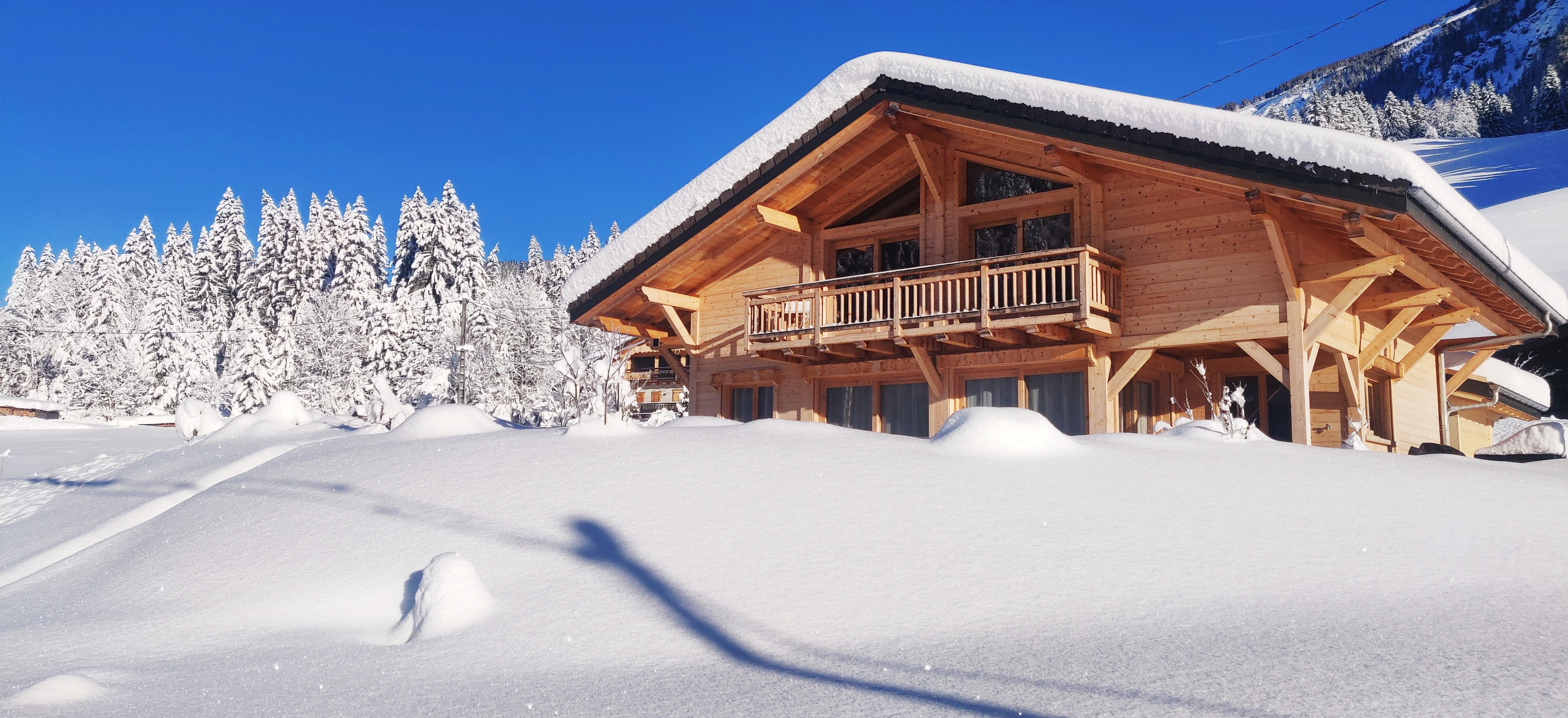 Bright chalet with spa between lakes and mountains
