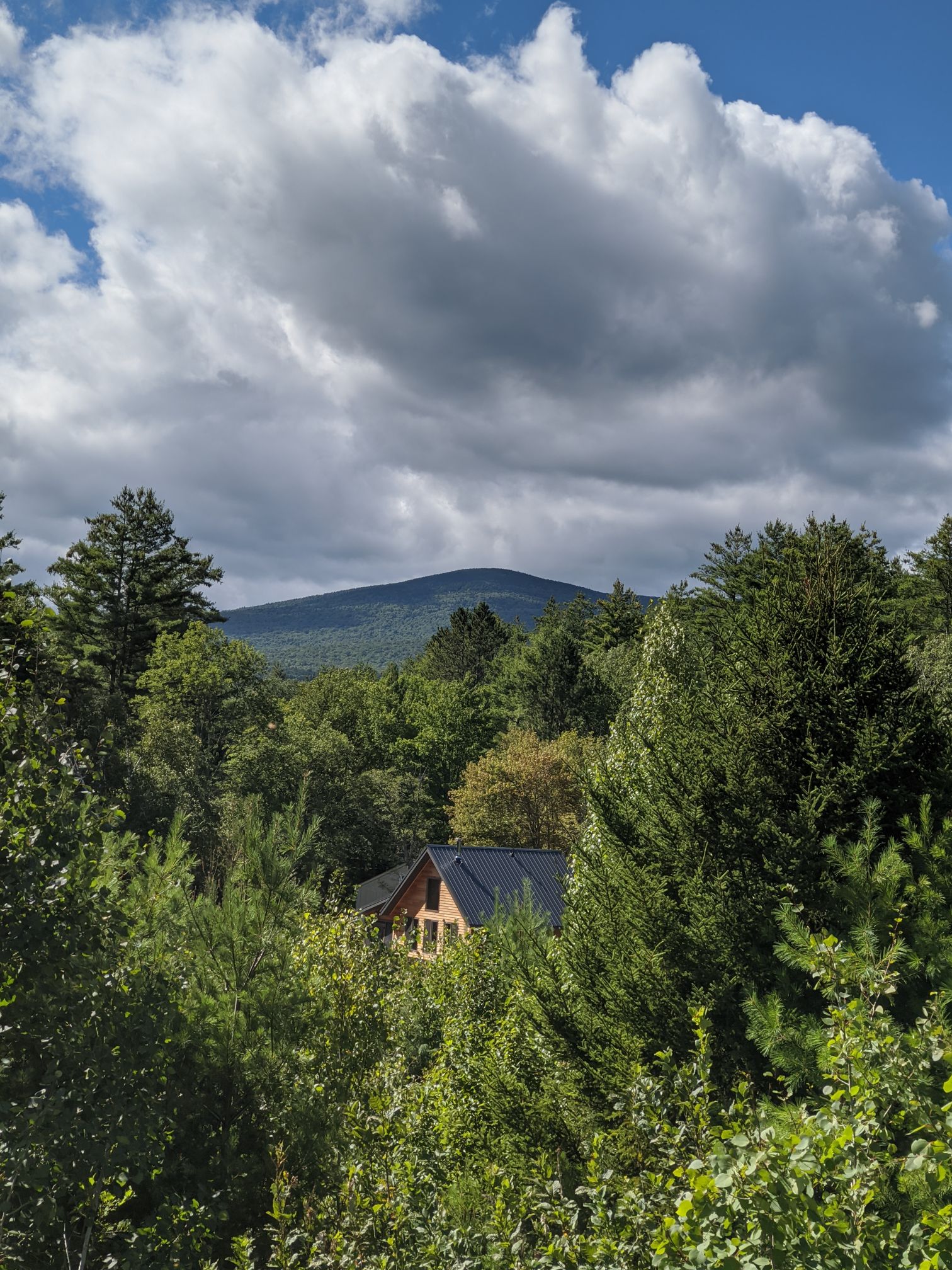 Newly Built Cabin in Jamaica Cabins for Rent in Jamaica, Vermont