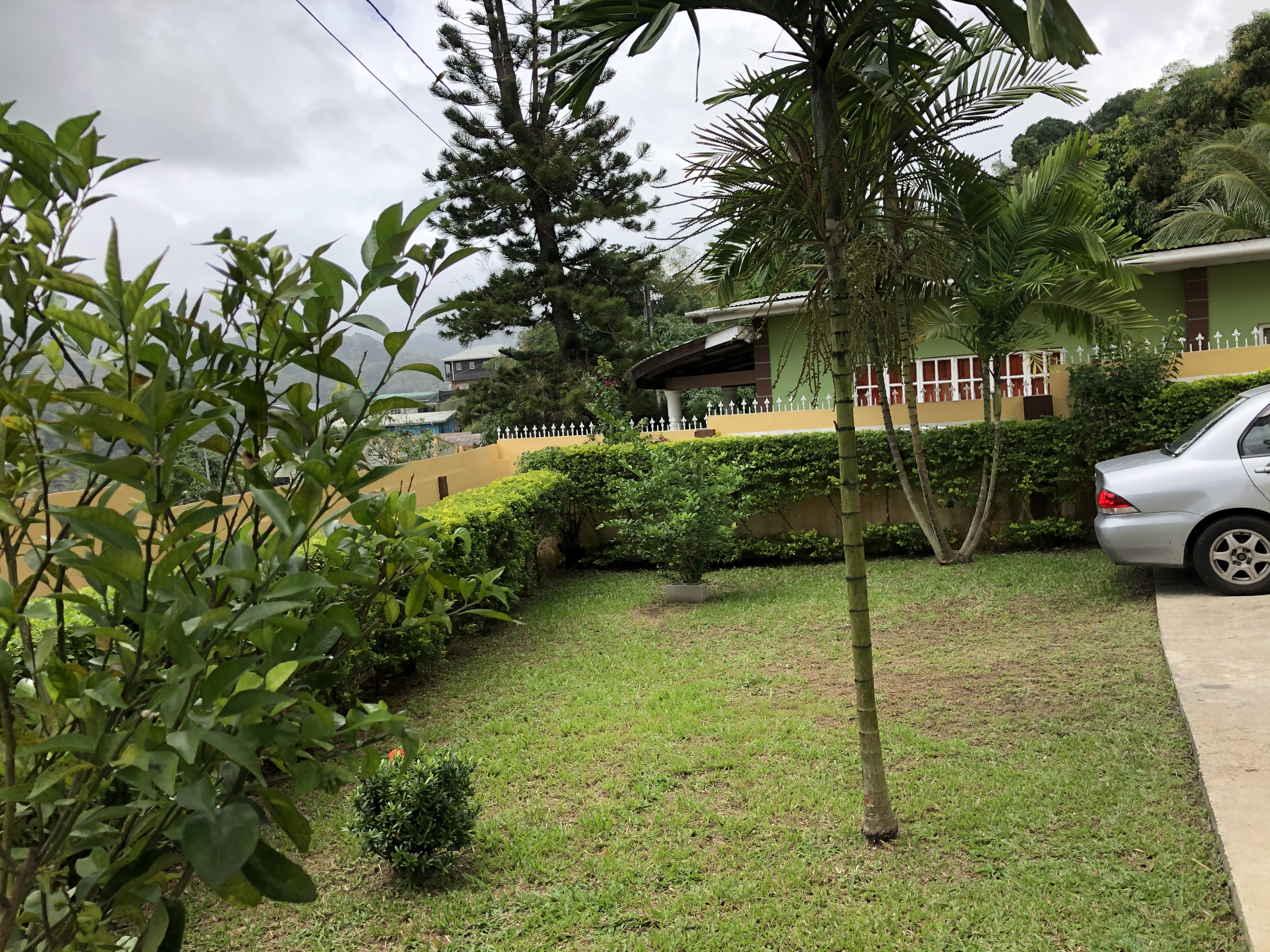 A great tropical view it is amazing