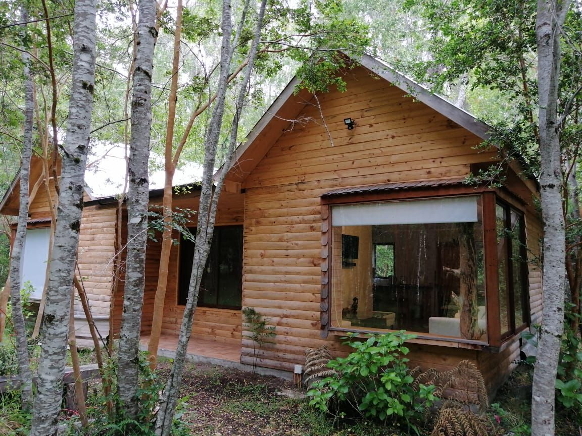 forest house