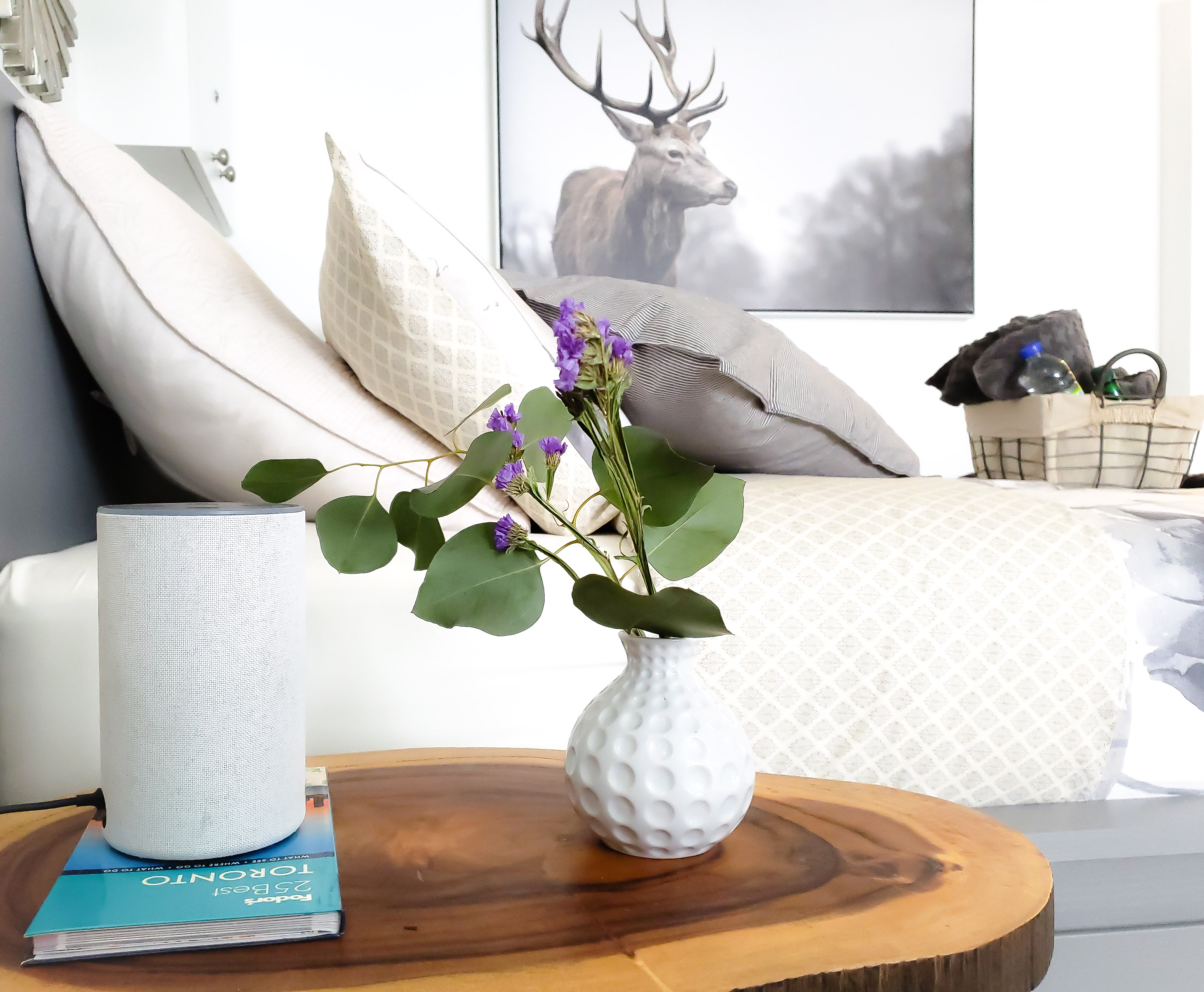 Cozy Junction Studio | Walk to Cafés & Transit