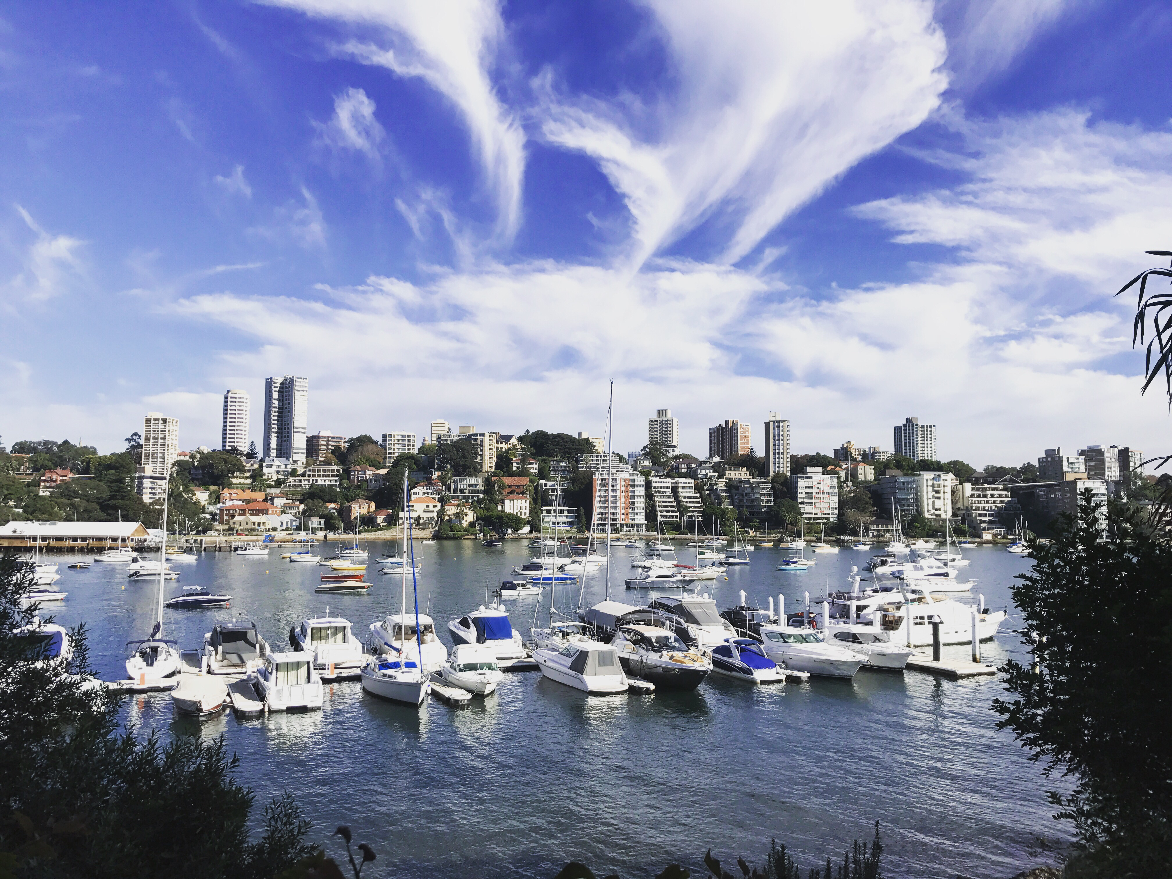 Harbourside apartment with spectactular views in Woollahra, Sydney