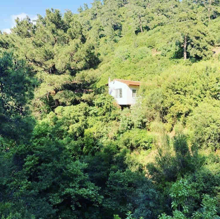 River House