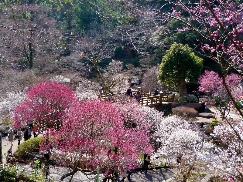 Fireplace Hot Spring Private Log House In Atami Casas En Alquiler En Atami Prefectura De Shizuoka Japon