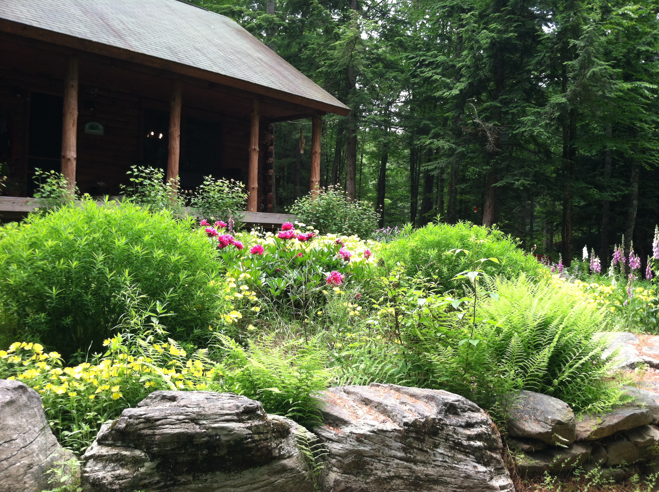 Perry Pond Paradise