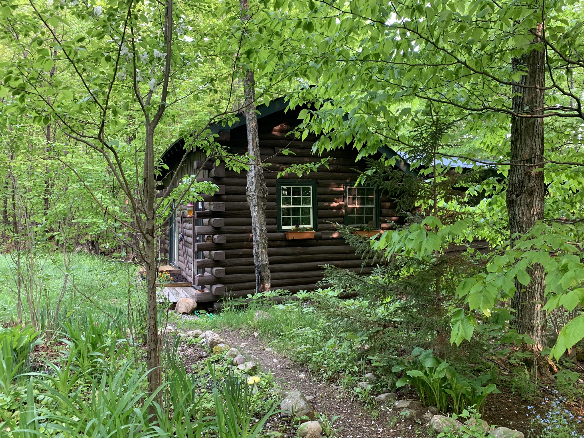Camp Moonstruck- Little Cabin in the Big Woods