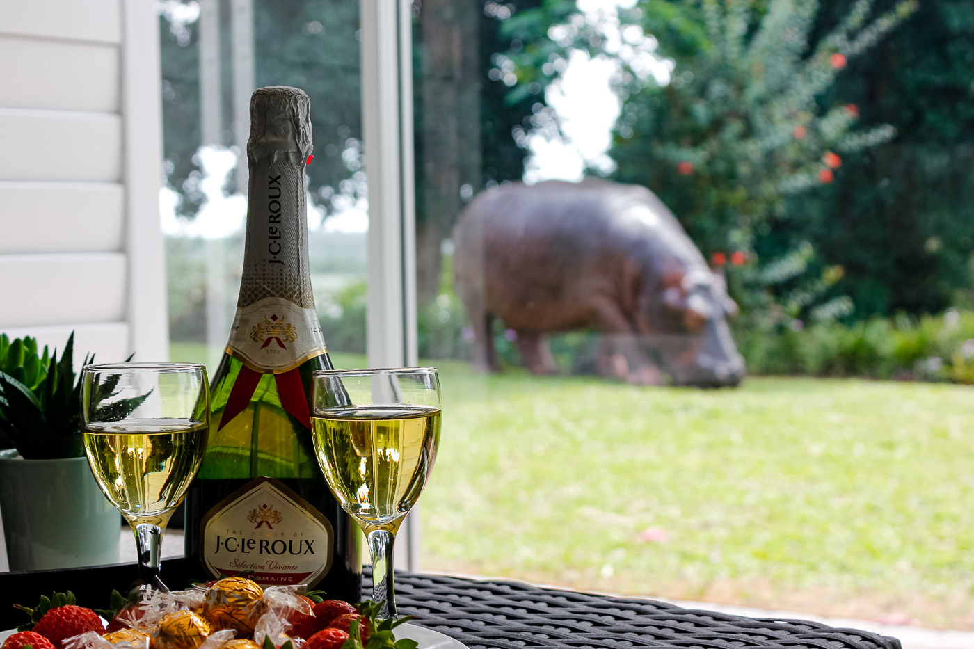 Hippo Haven: Luxurious Retreat on St Lucia Estuary