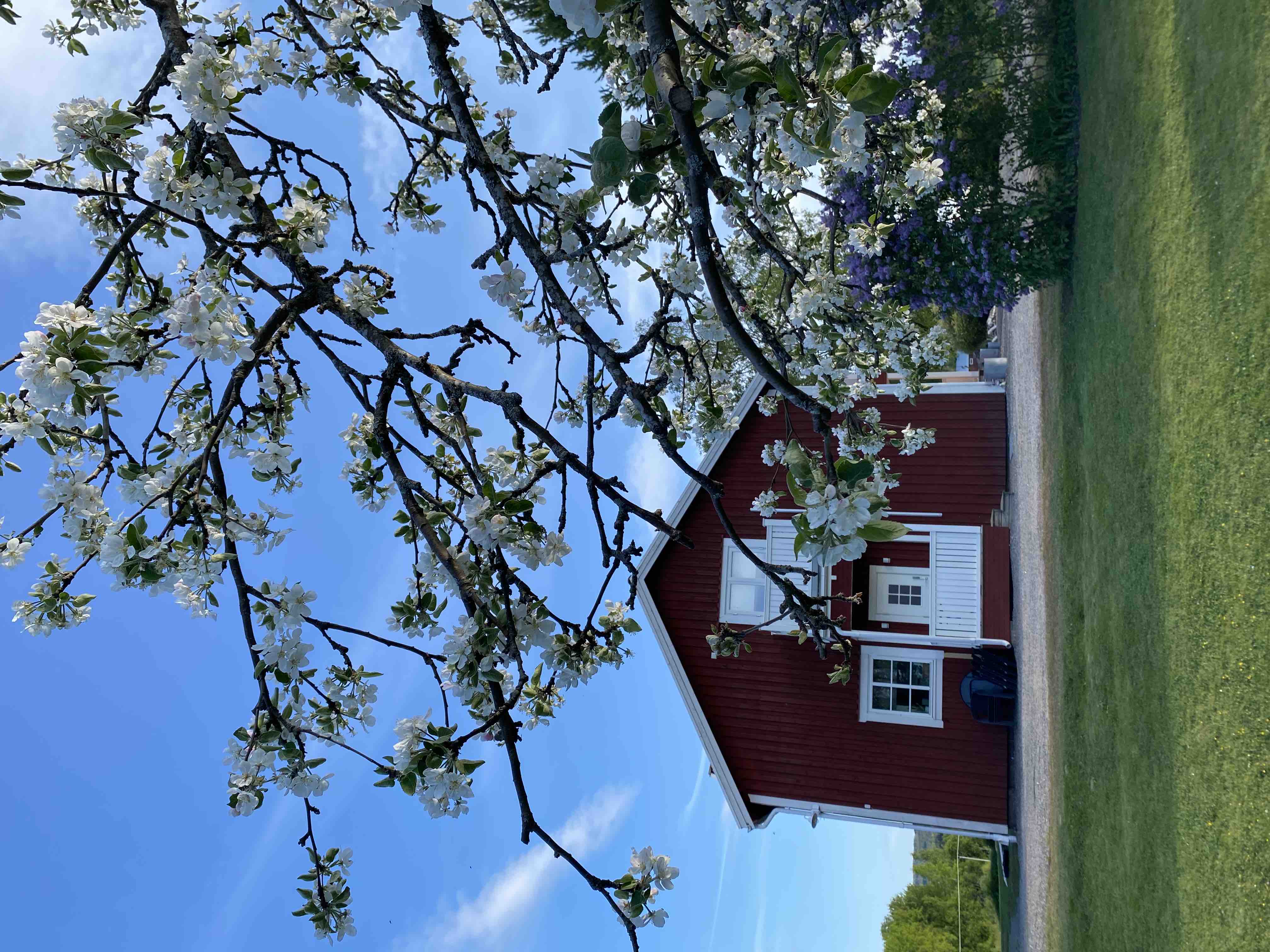 Rural accommodation 5 min south of Järvsö