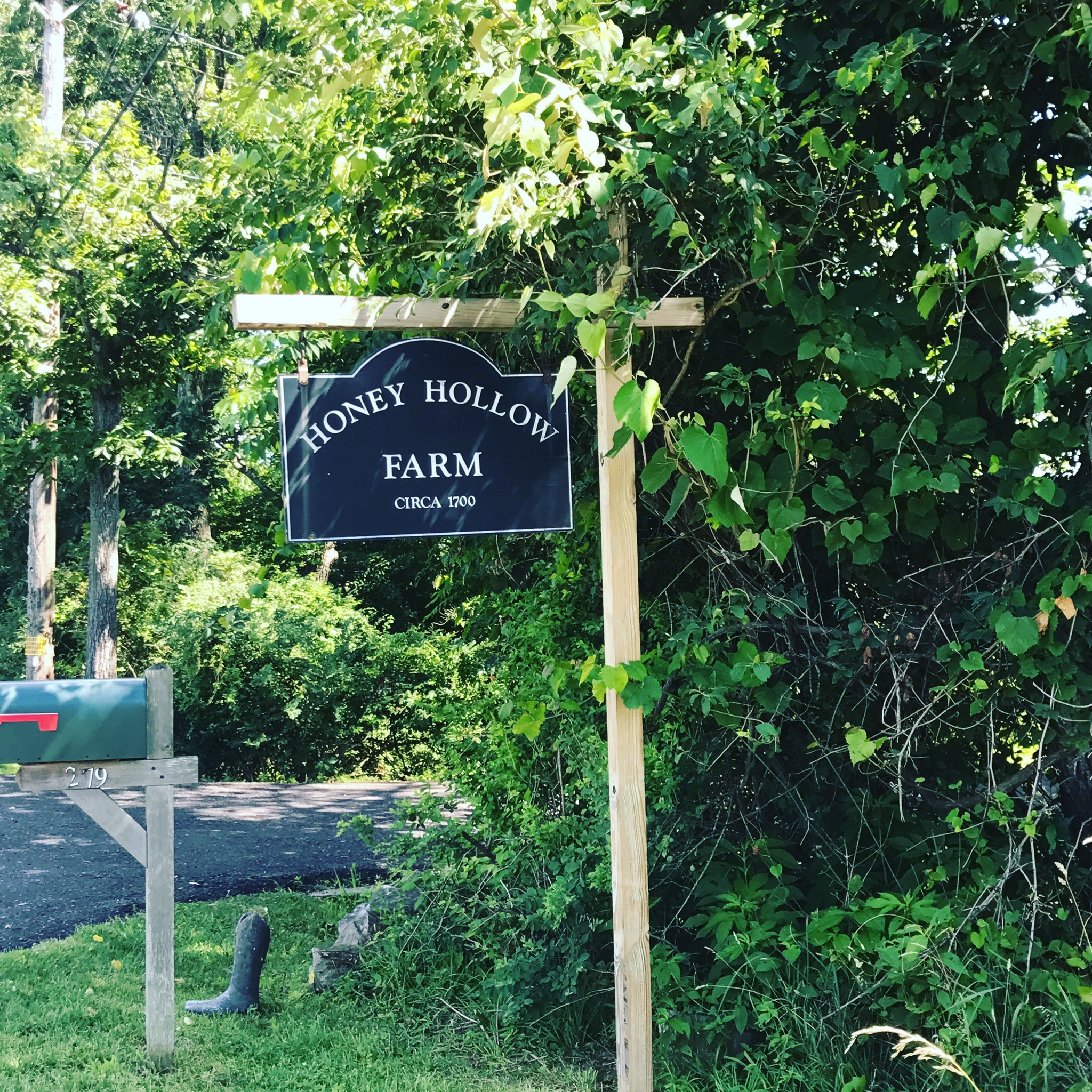 Honey Hollow Farm Circa 1700 Farm stays for Rent in New Hope