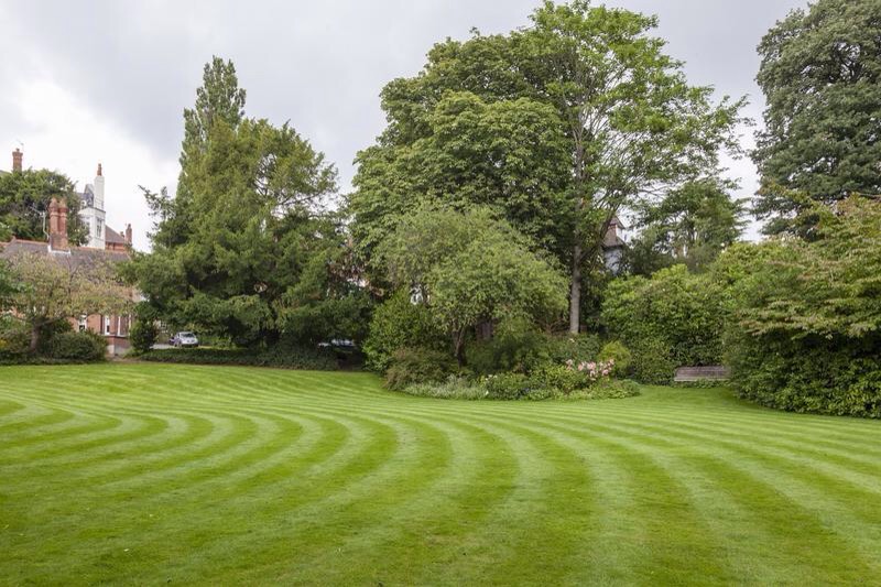 Tranquil Double Room in Hampstead