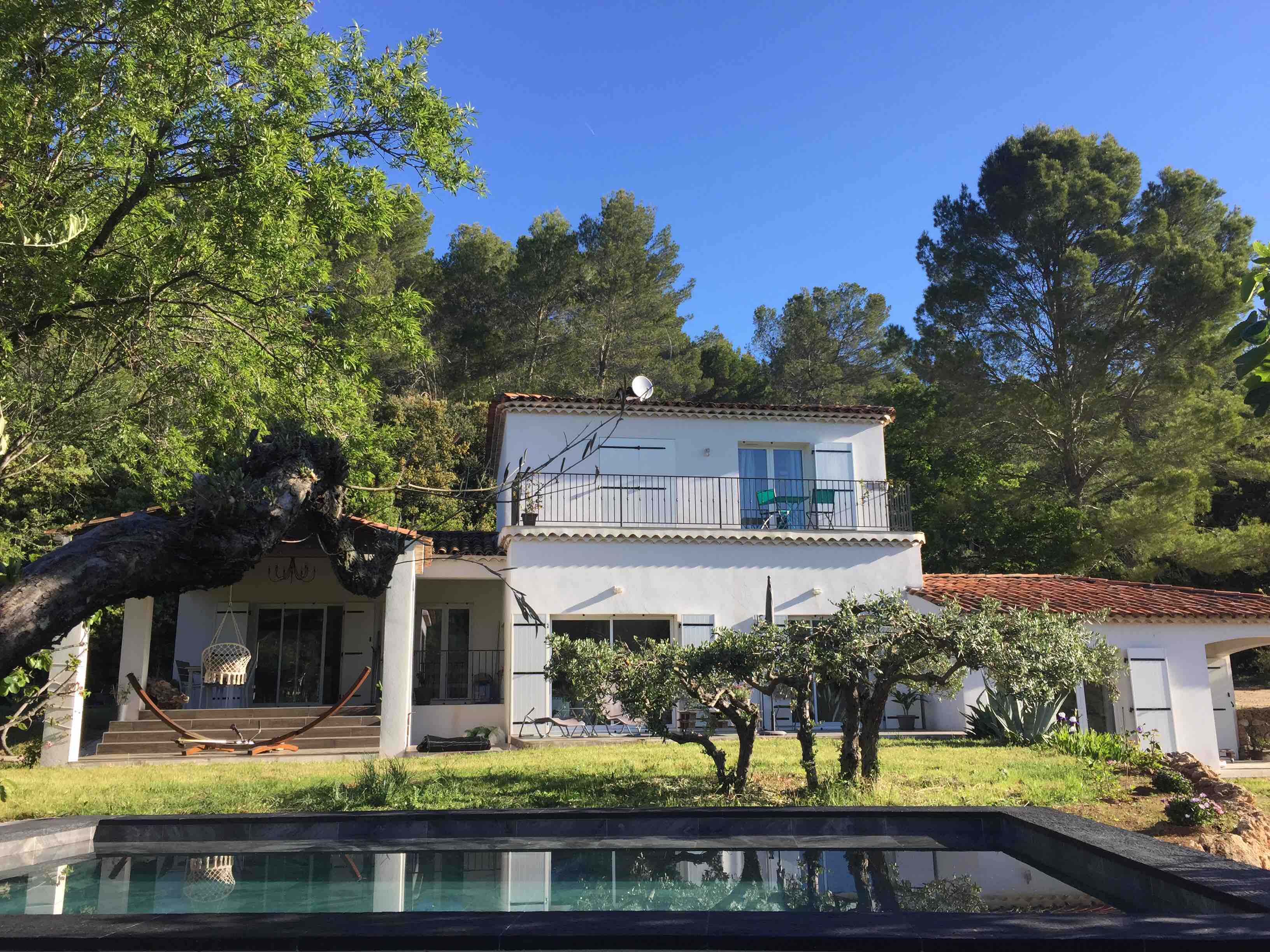 Villa with pool in the fields of olive trees