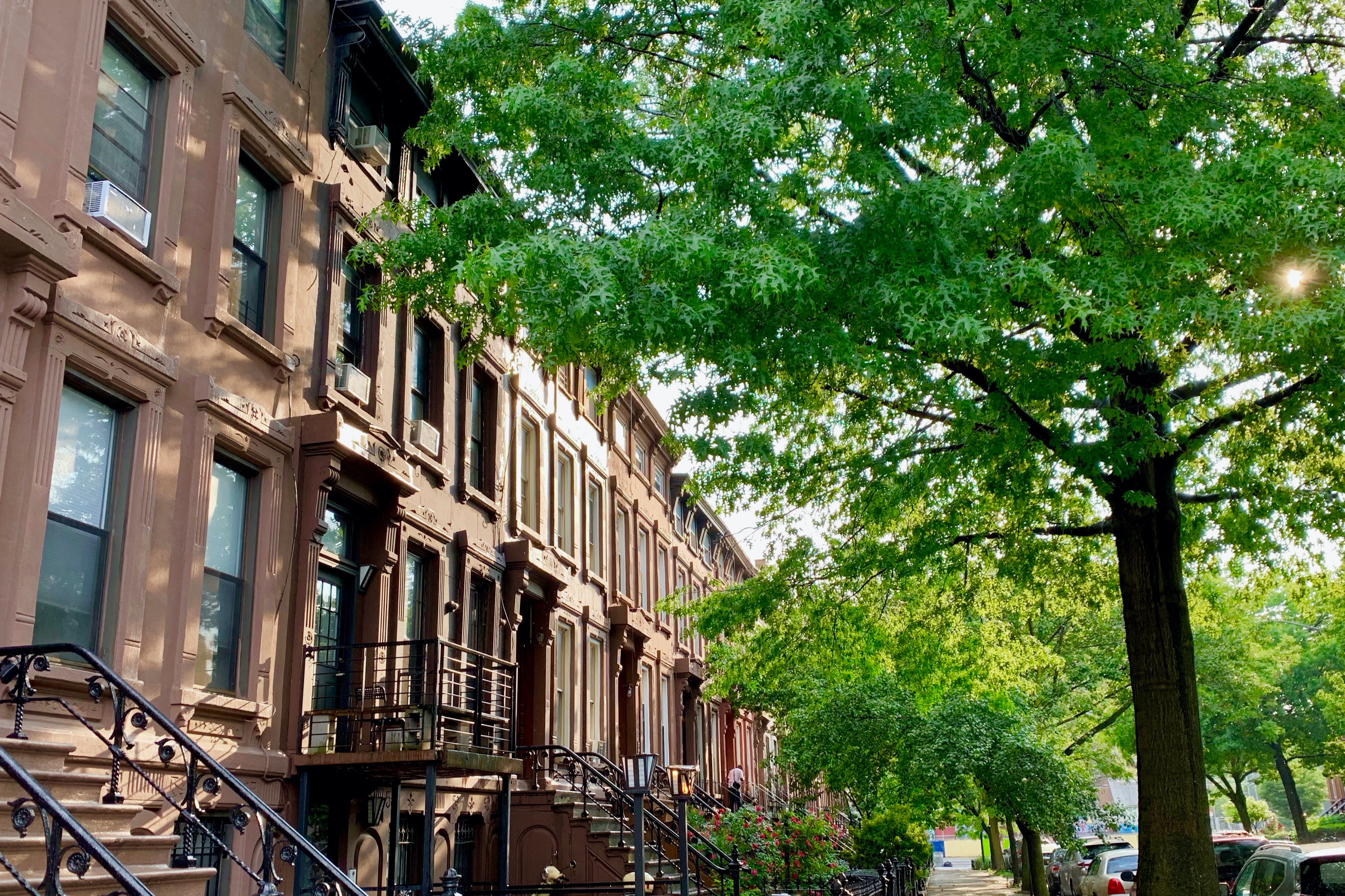 Comfortable 1.5 Bedroom Retreat in Brooklyn