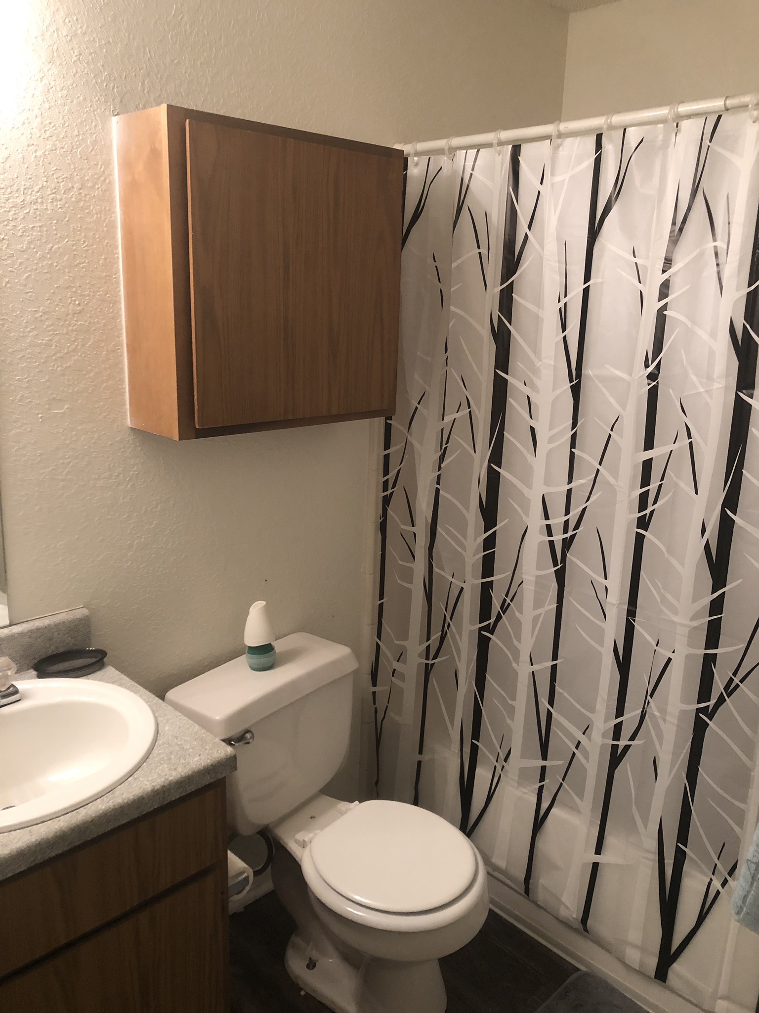 Spacious Private Bedroom/Bathroom. - Apartments for Rent in Nashville