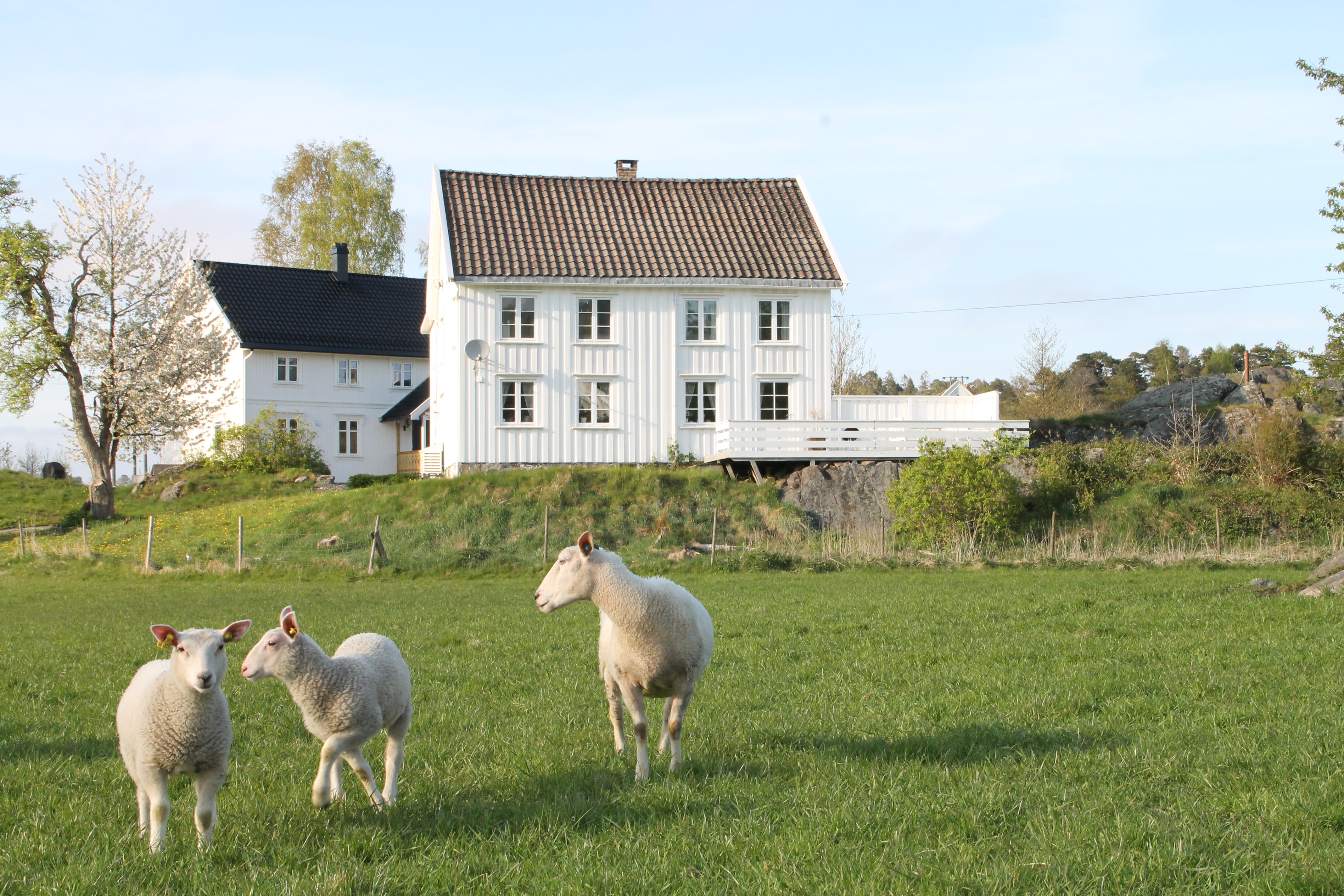 Cozy farm house with soul near Nidelva