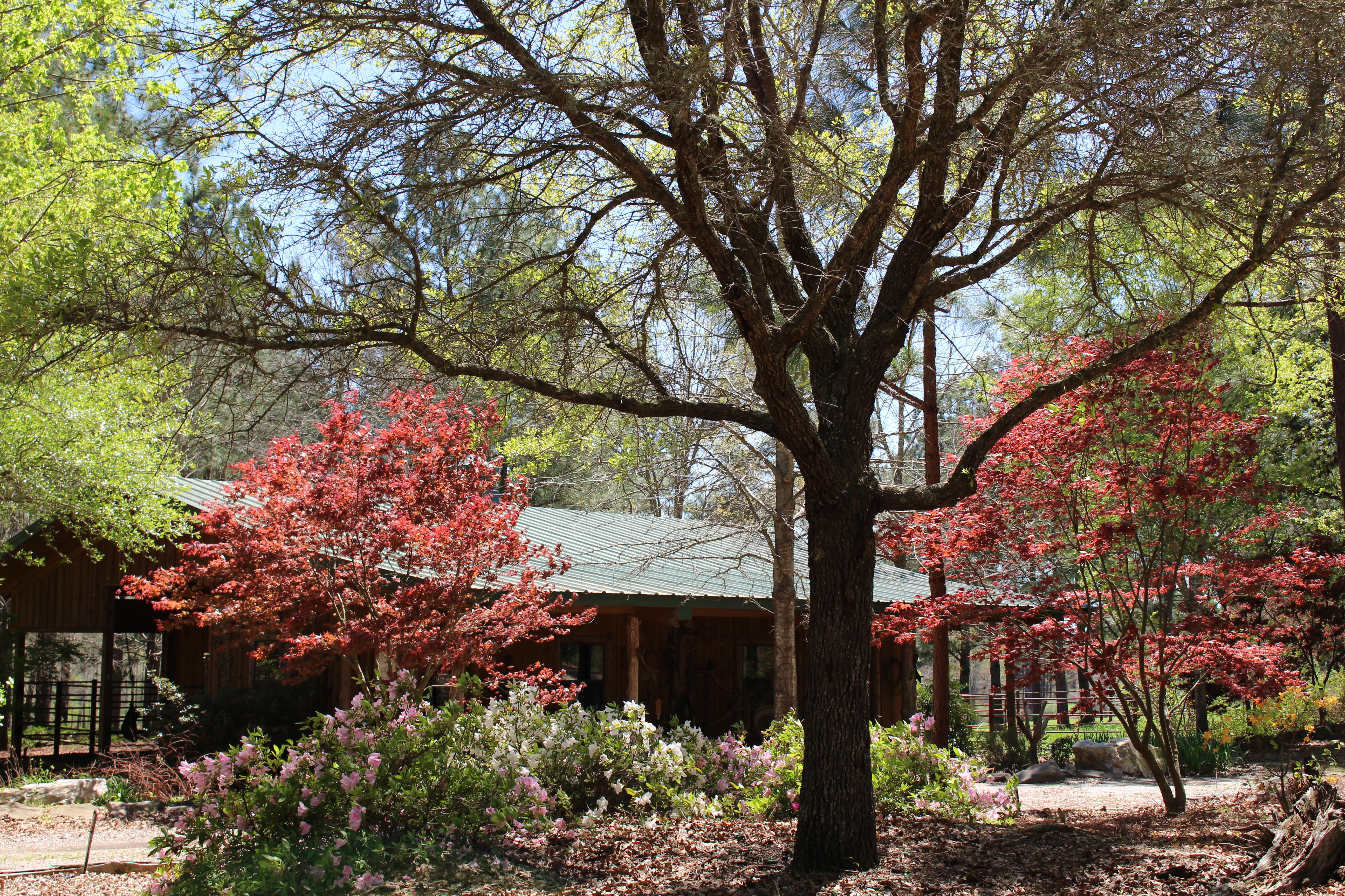 Crooked Oaks Barn Bedroom At Pat Dye S Farm Farm Stays For Rent In Notasulga Alabama United States