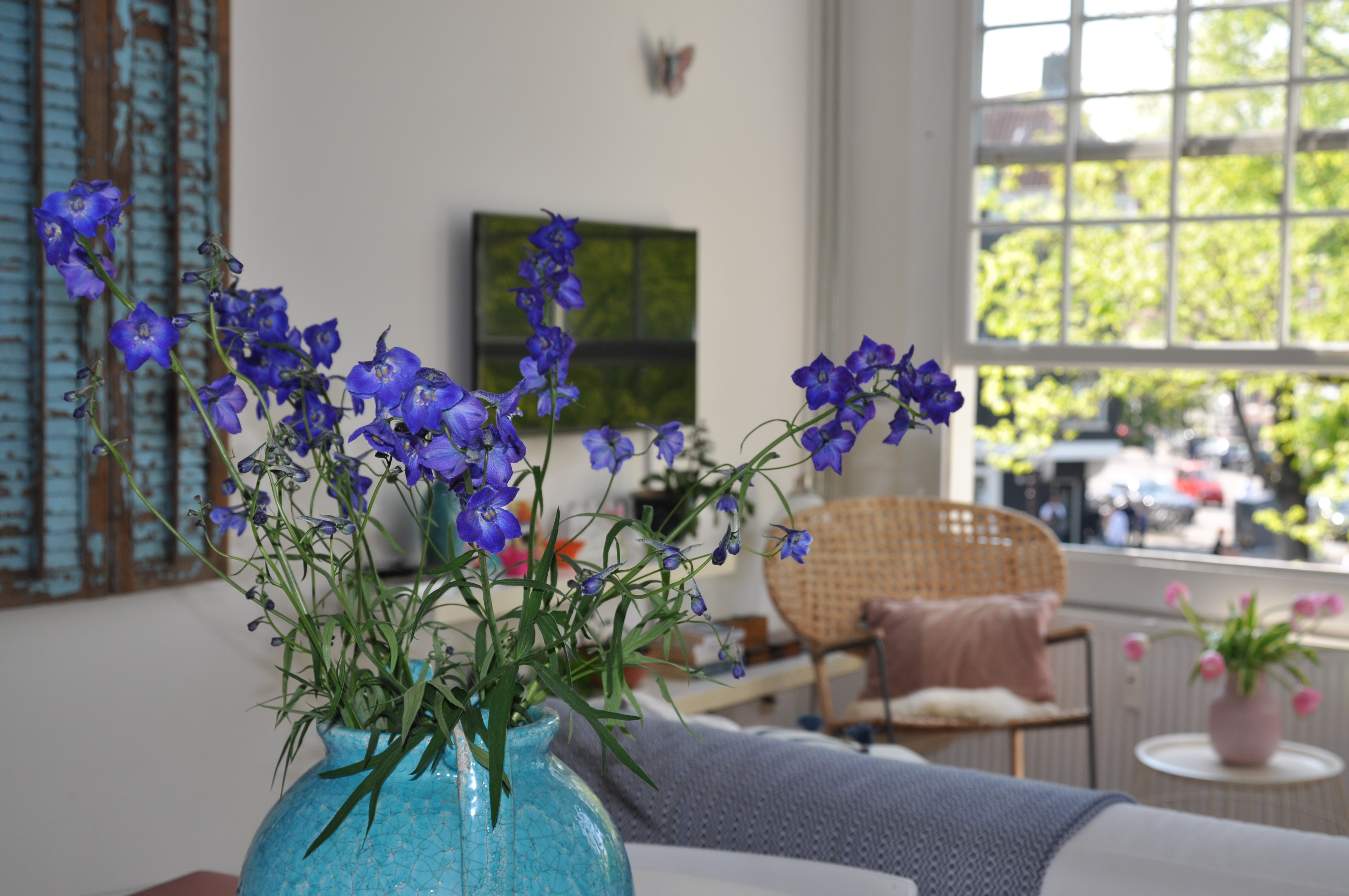 Canal area, city center popular Jordaan . — Amsterdam stay