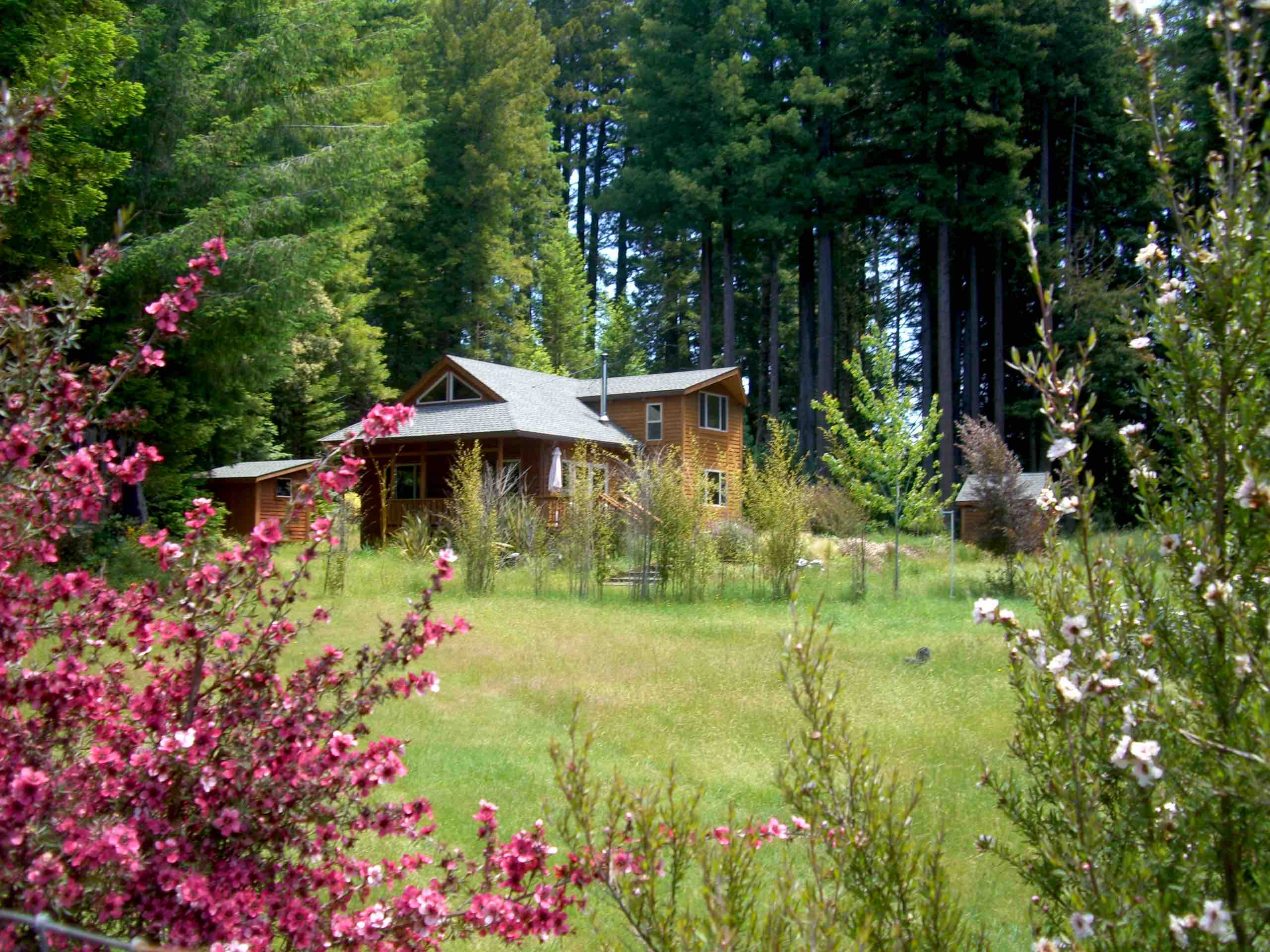 Meadow Wood near Mendocino Village