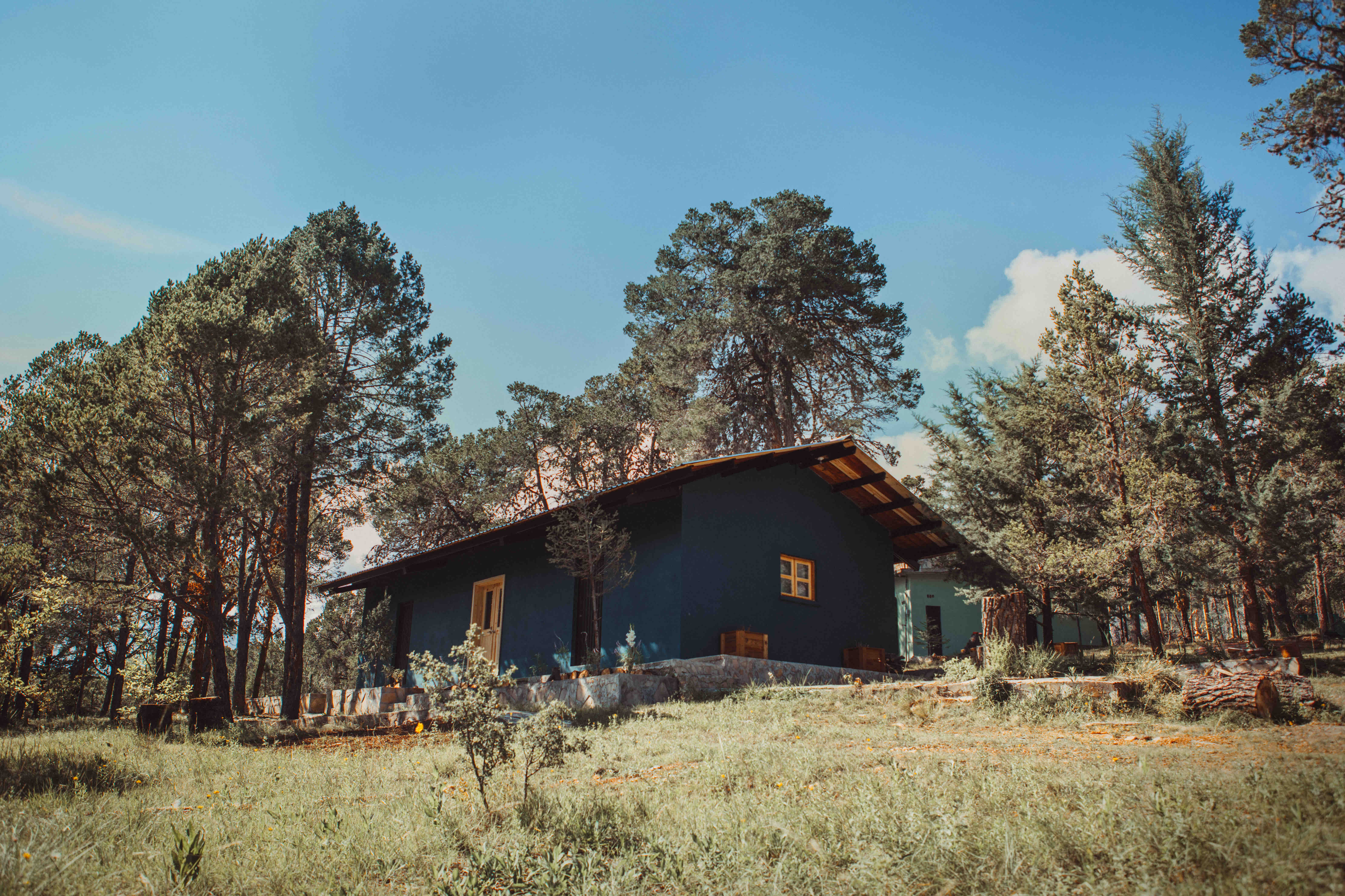 “Bluebird cabin” unique forrest hideaway