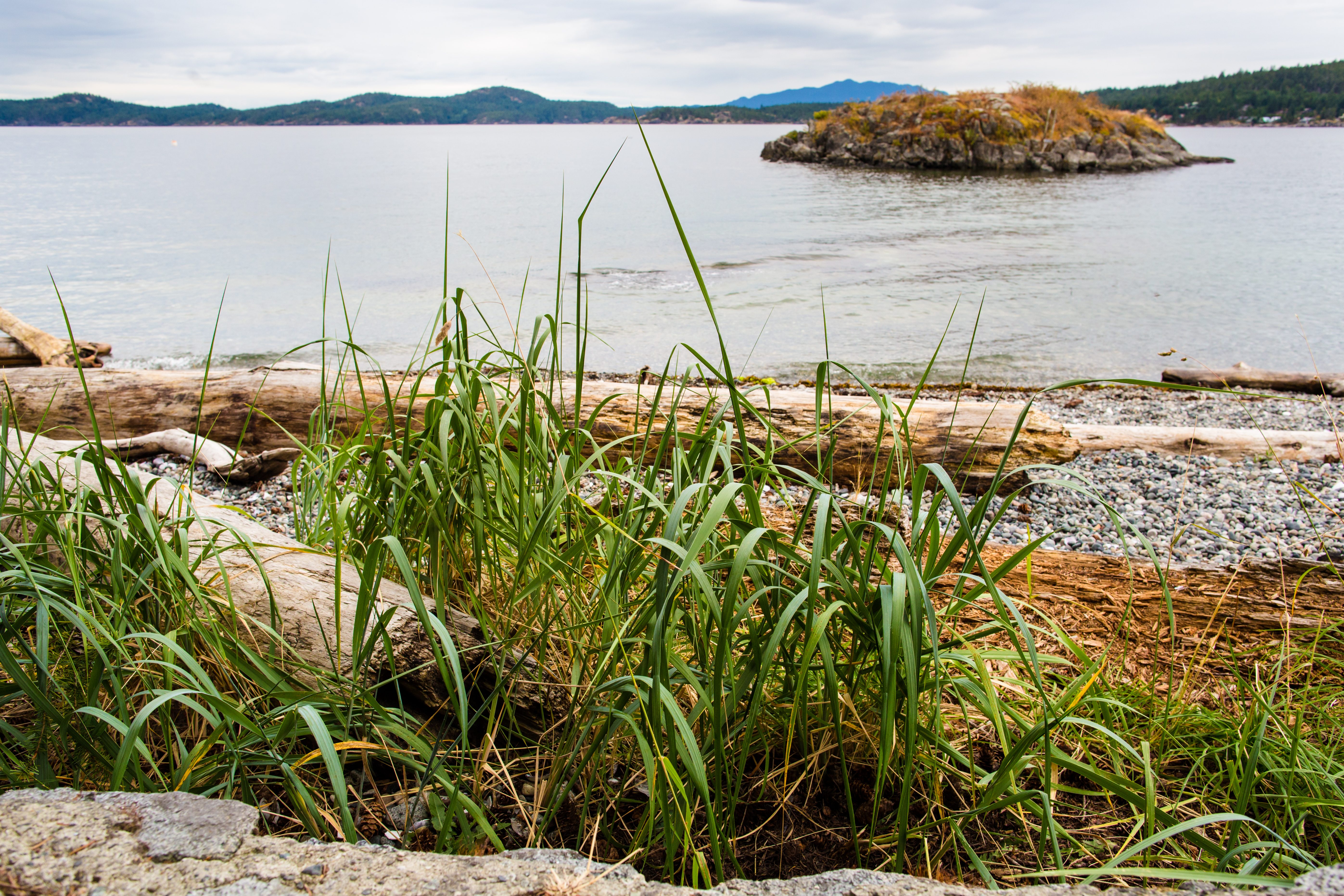 Vacation Cabin Close to Beach, Trails, Boat Launch