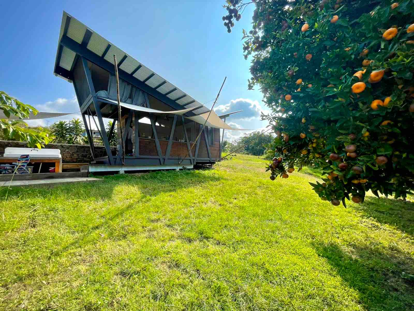 Love Kona farm life *Superstar Truss Cabin! Airbnb