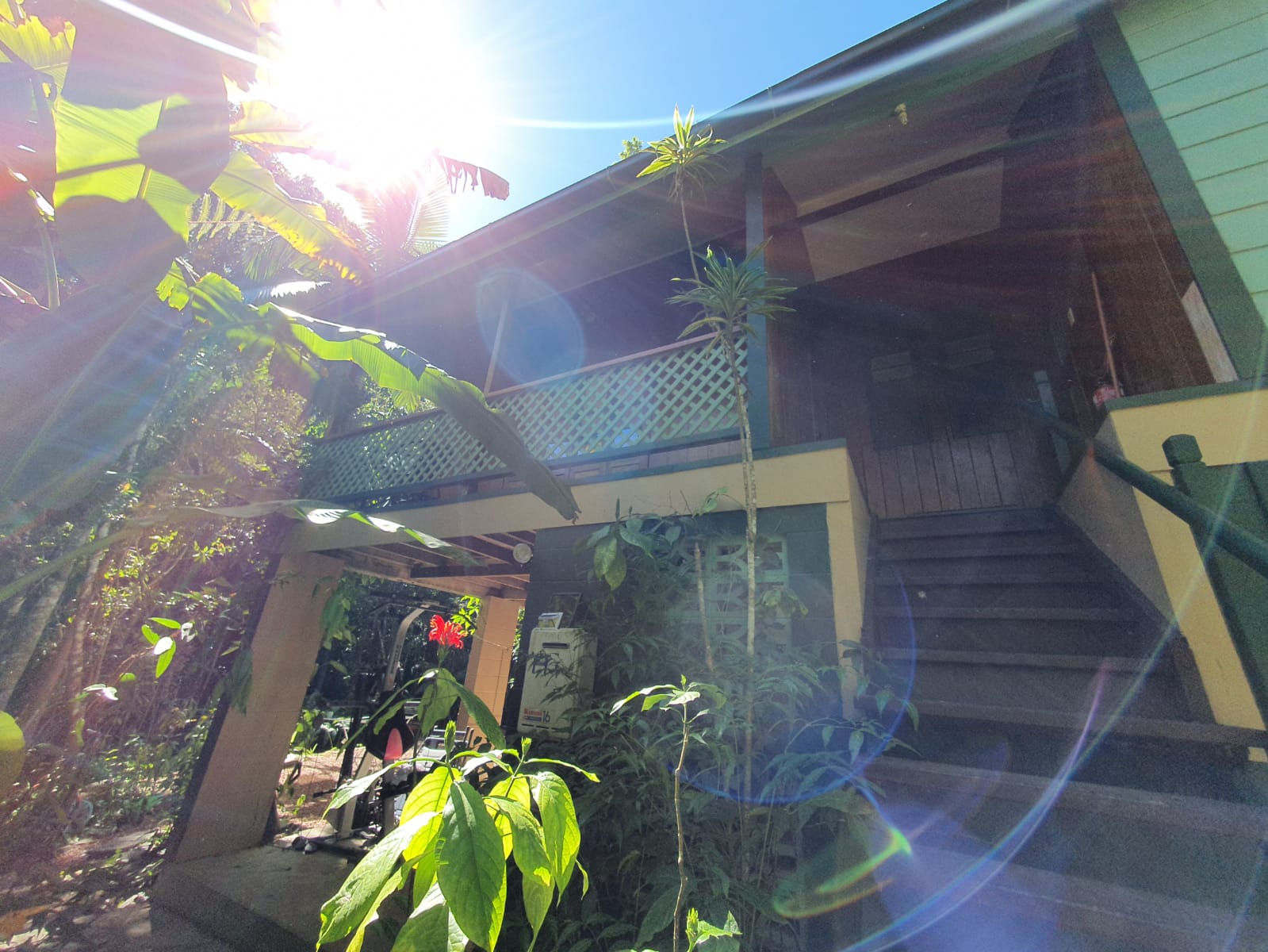 Cassowary House Unit 1 Nature lodges for Rent in Kuranda