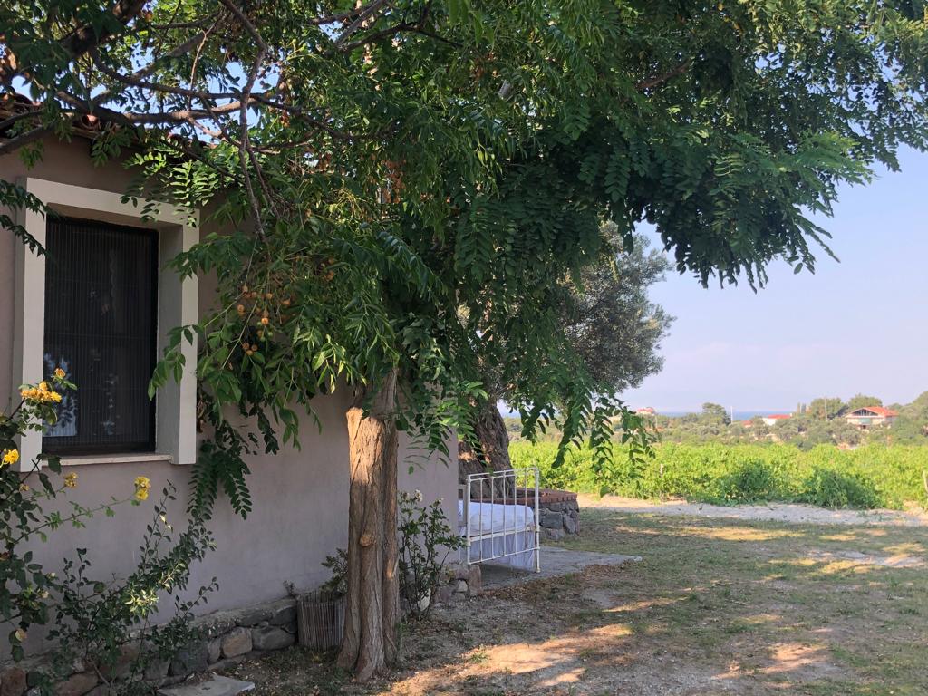 Limantepe Bağ Evi Urla şehrinde Kiralık Kır evleri, İzmir, Türkiye