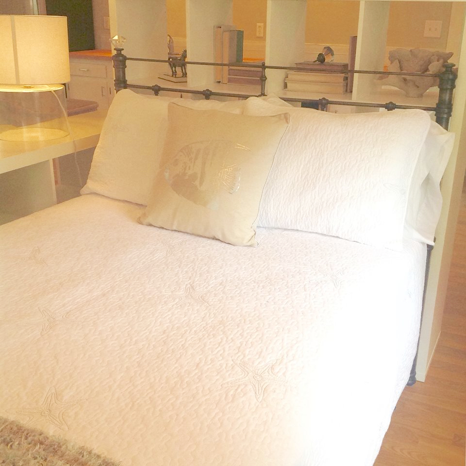 Guest house on Bayshore Ft from Gasperila in S TPA Houses for Rent in