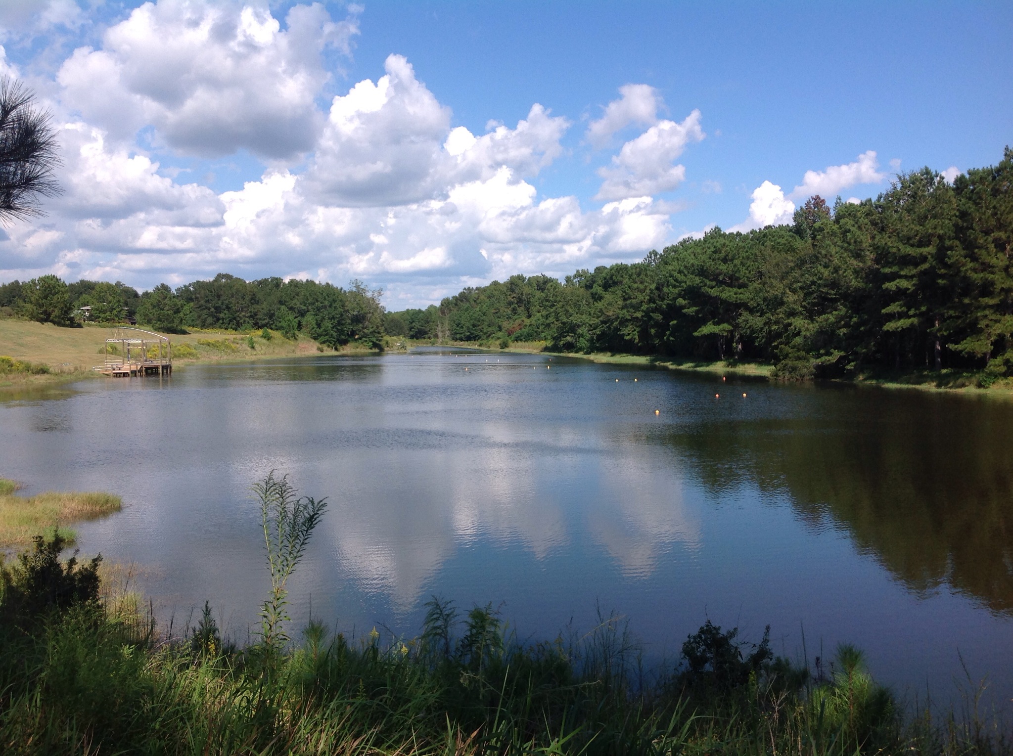The Bungalow Tiny houses for Rent in Fairhope, Alabama, United States
