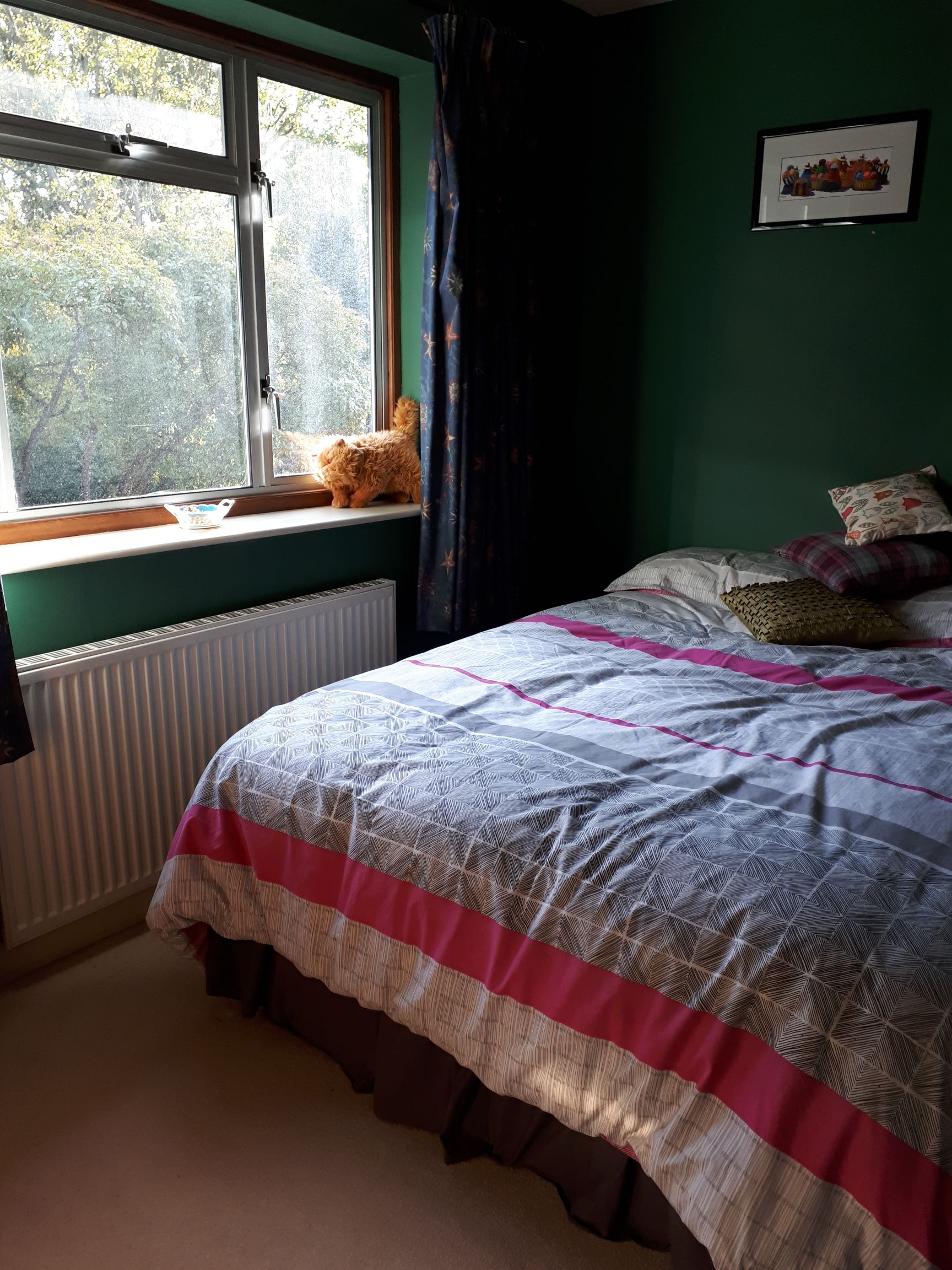 Lovely quiet double room great location Bristol Houses for Rent in