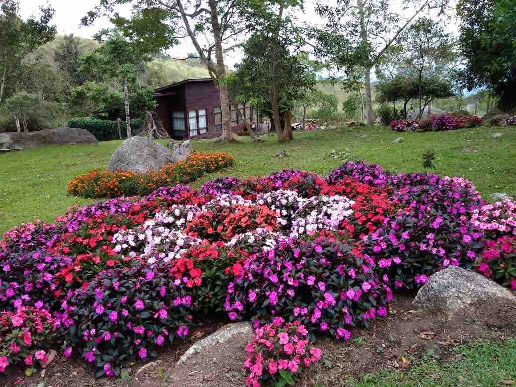 Spring Garden Twin Room Kundasang Mt Kinabalu Cabins For Rent In Kundasang Sabah Malaysia