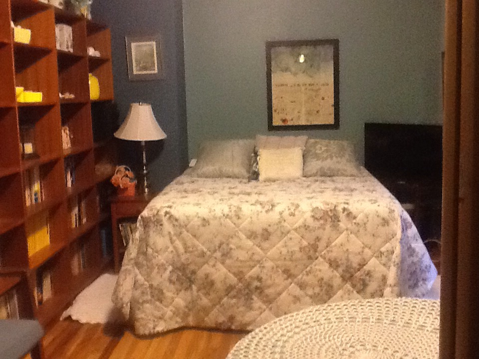 Large Queen size Bedroom Denver DTC I-25 / I-225 in Hampden South, Denver