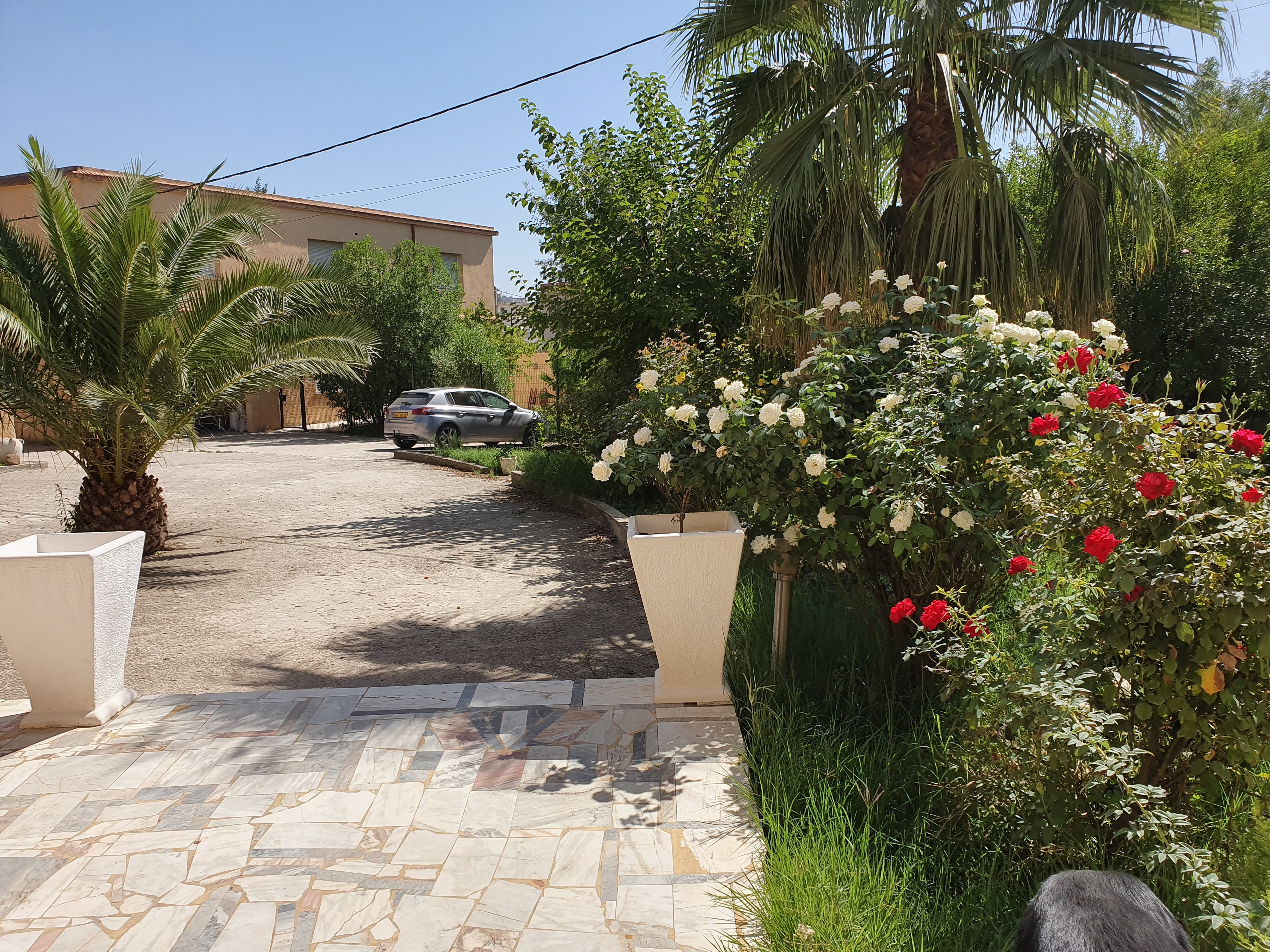 Beautiful apartment in a gated community,