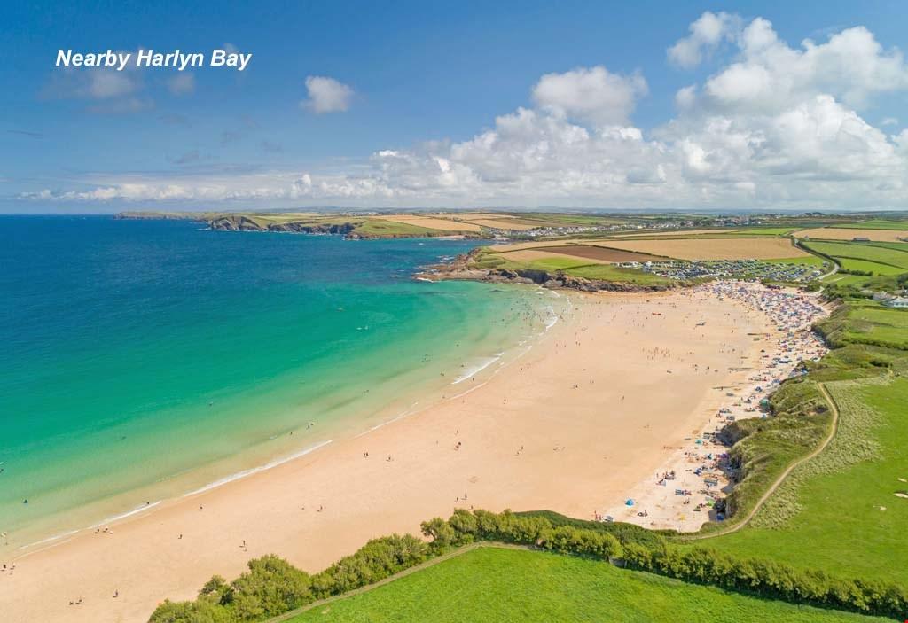 harlyn bay dog friendly cottages