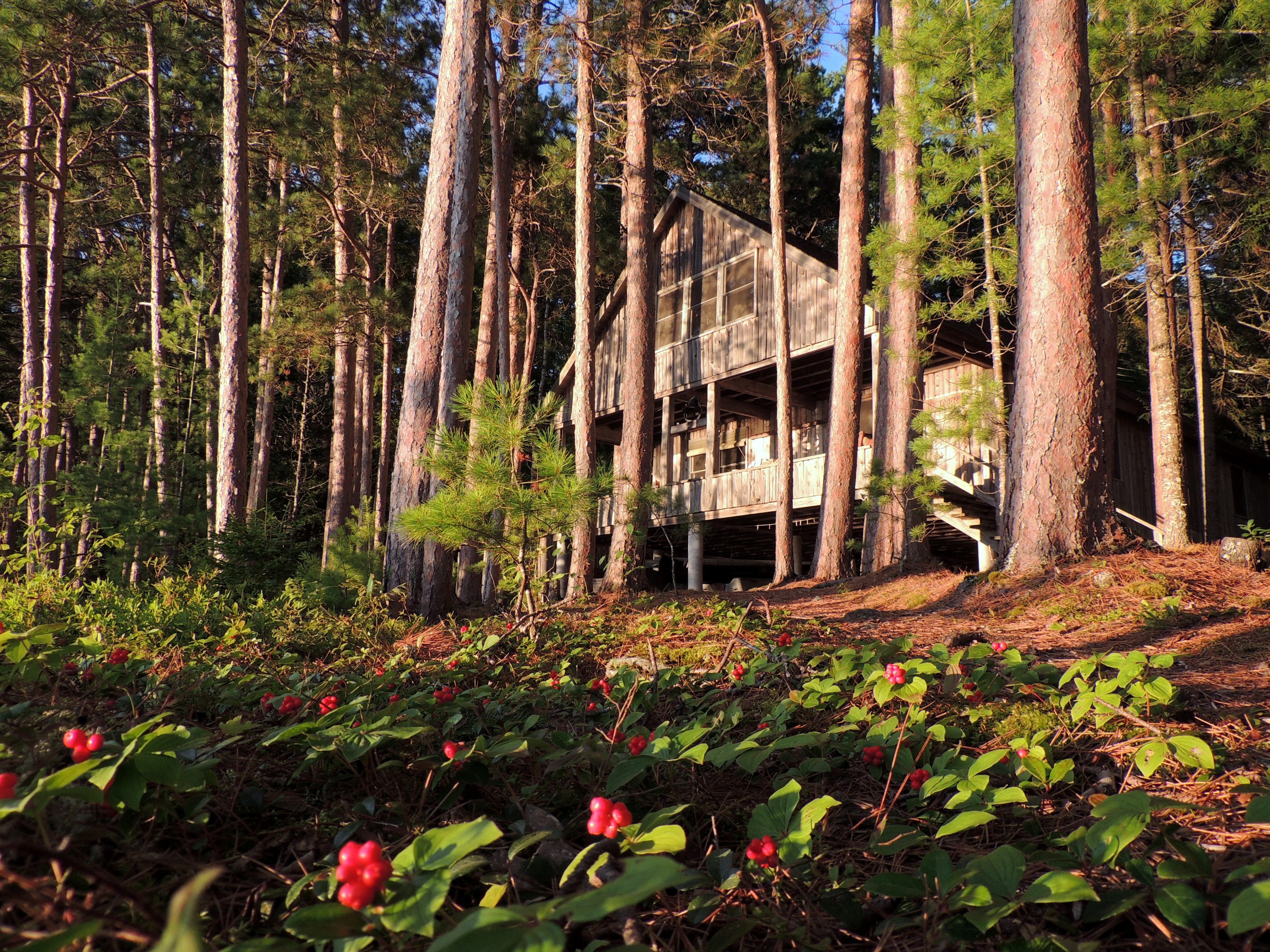 Pristine Lake Cabin in Maine