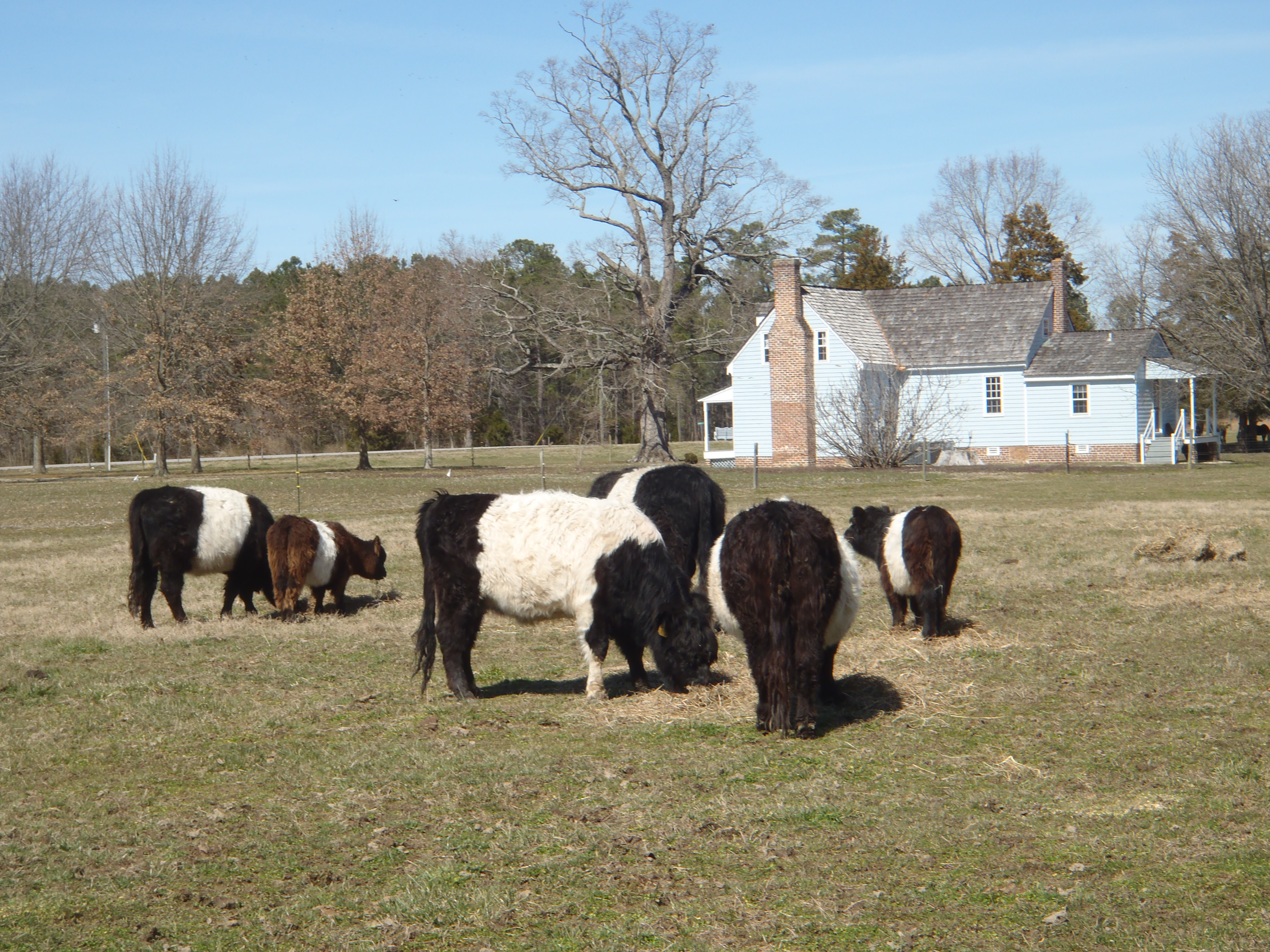 Farm & country stay!