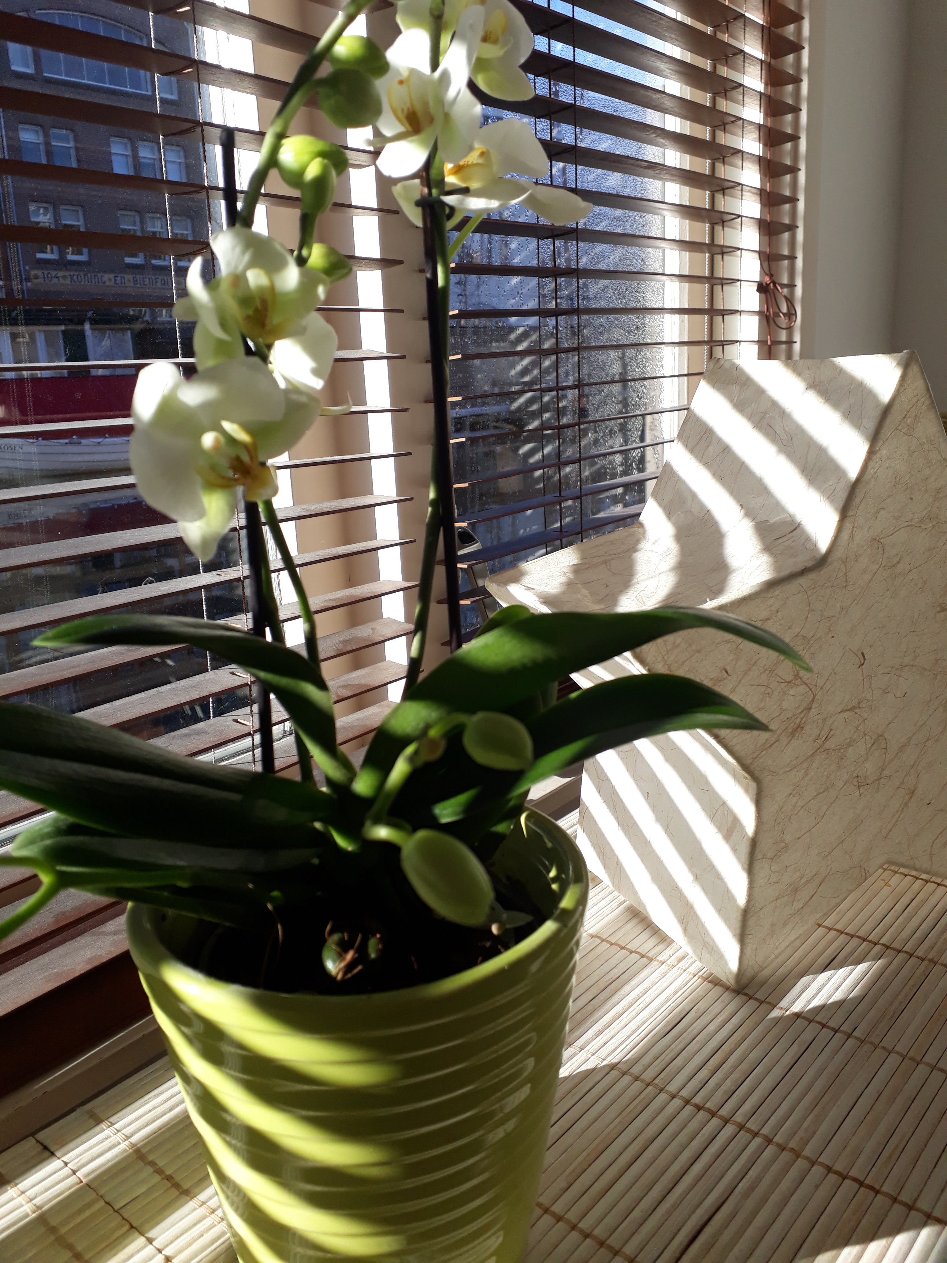 Private room in sunny houseboat! โ Amsterdam stay